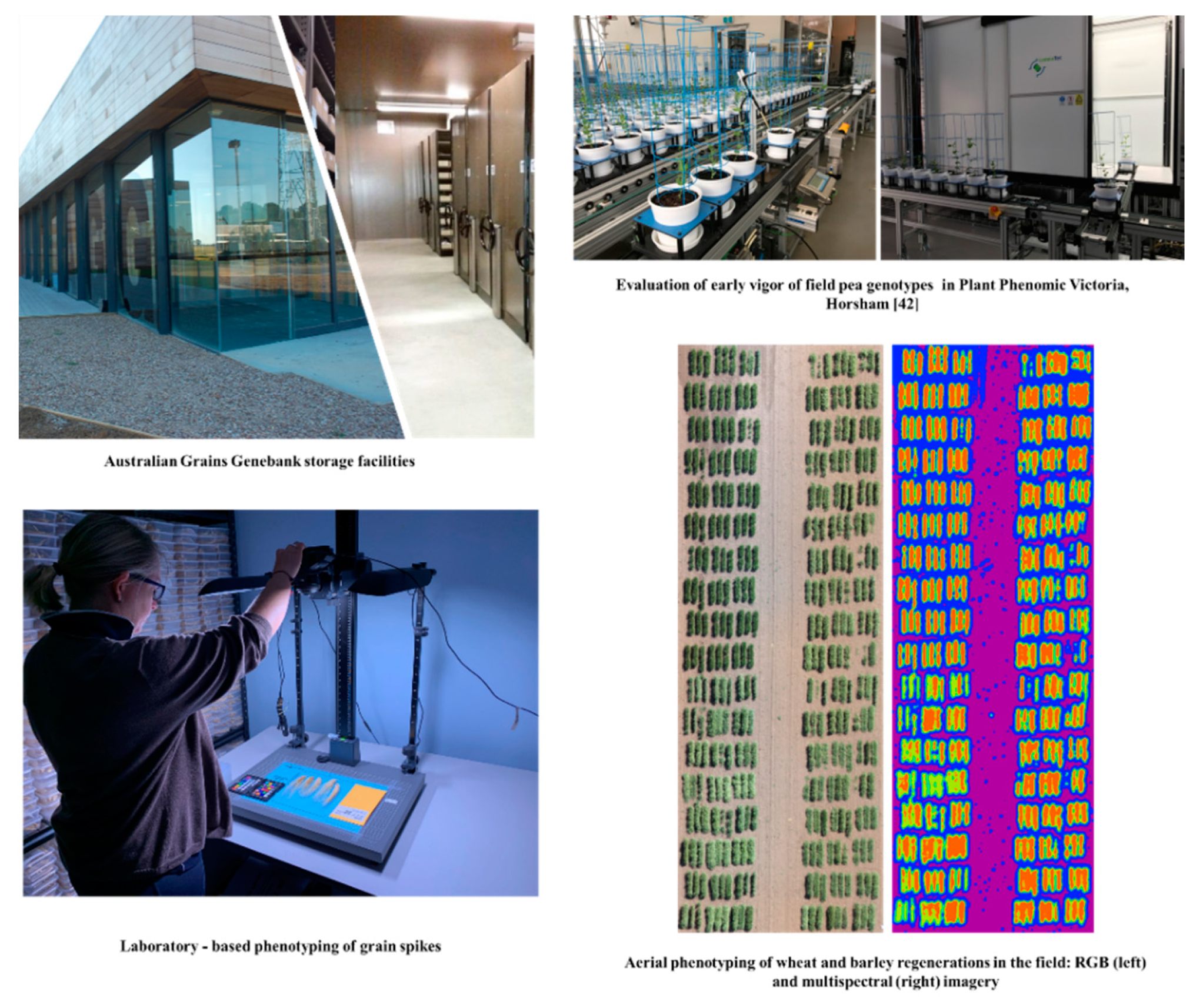 Plants 09 00817 g002 Plants 09 00817 g002