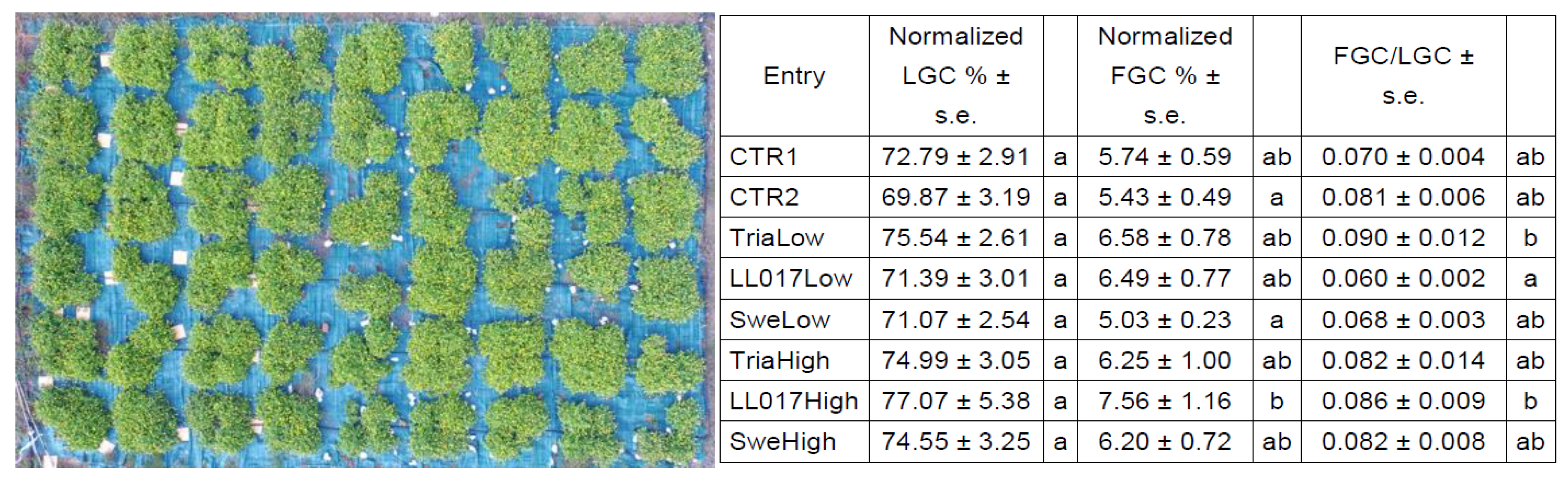 Plants 09 00818 g001