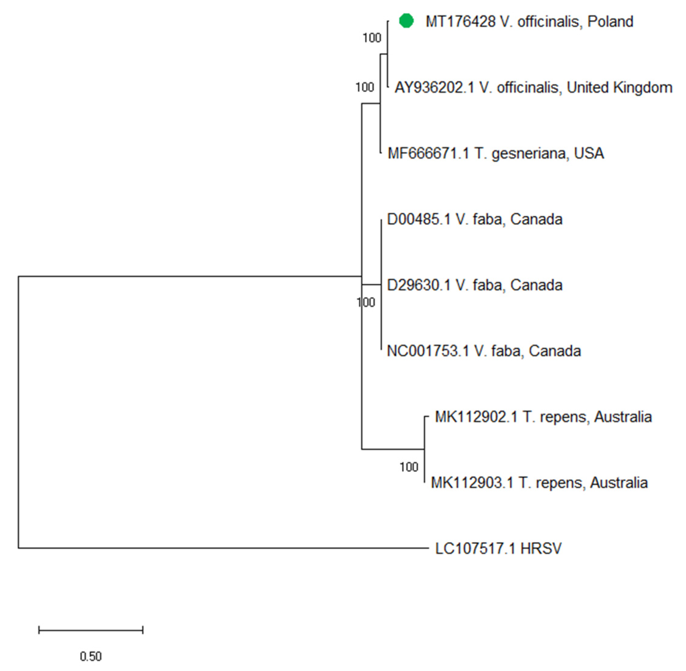 Plants 09 00820 g004 Plants 09 00820 g004
