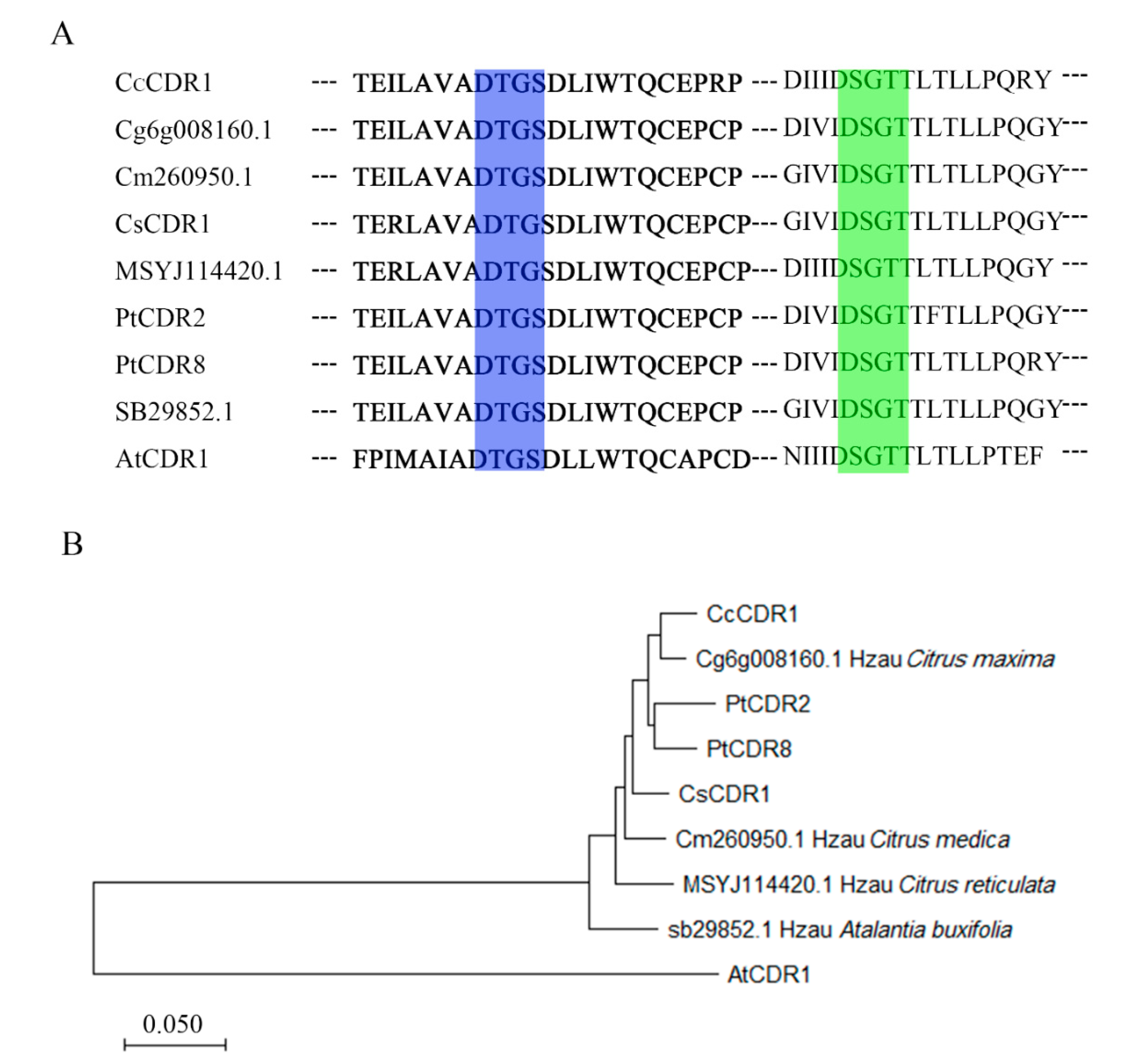 Plants 09 00821 g001