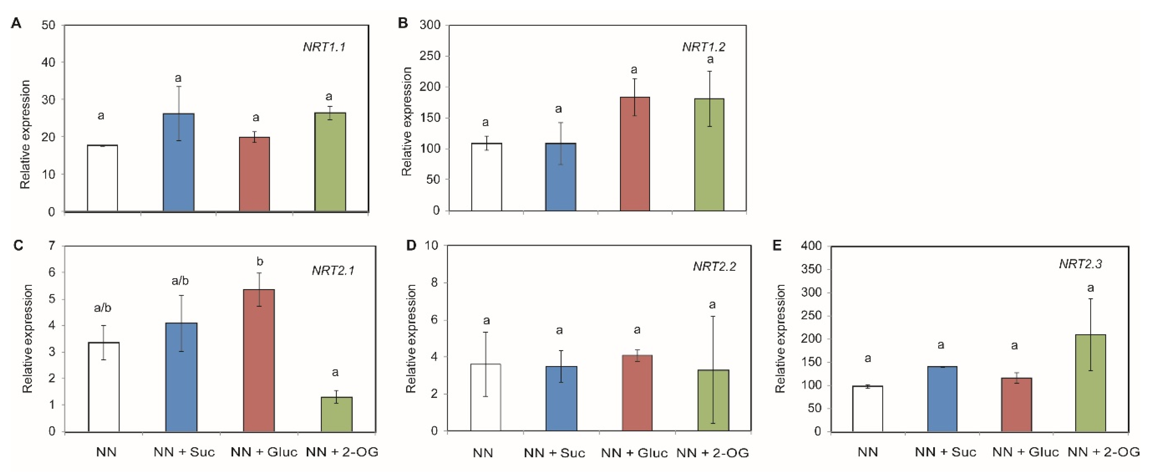 Plants 09 00837 g002