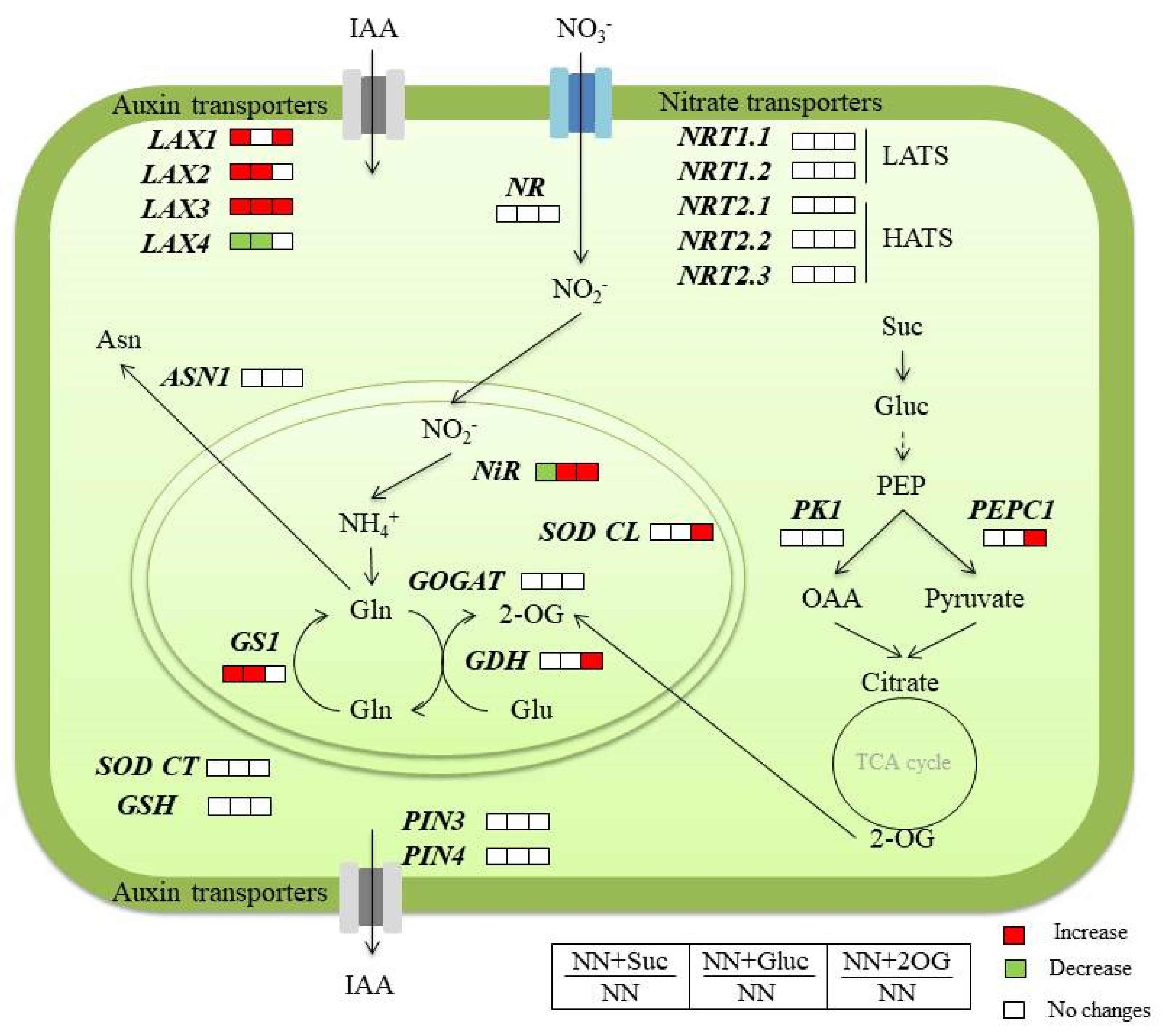 Plants 09 00837 g005
