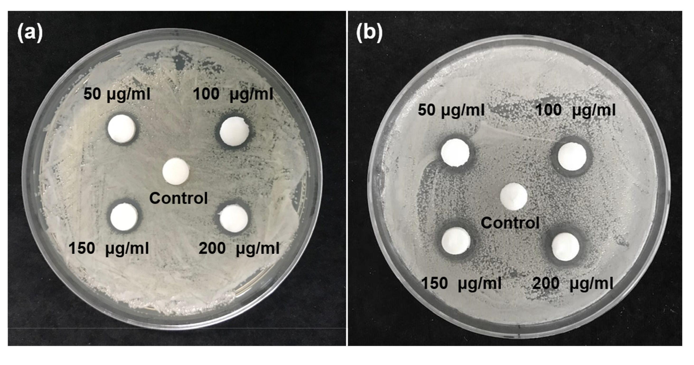 Plants 09 00838 g001