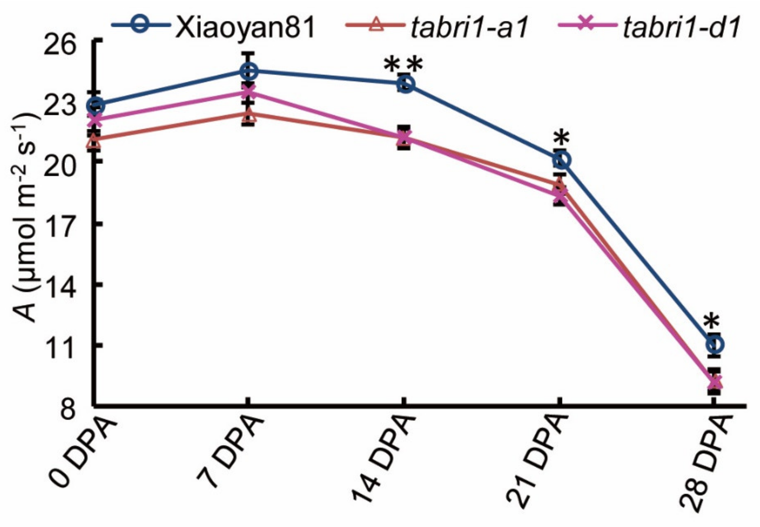 Plants 09 00840 g006