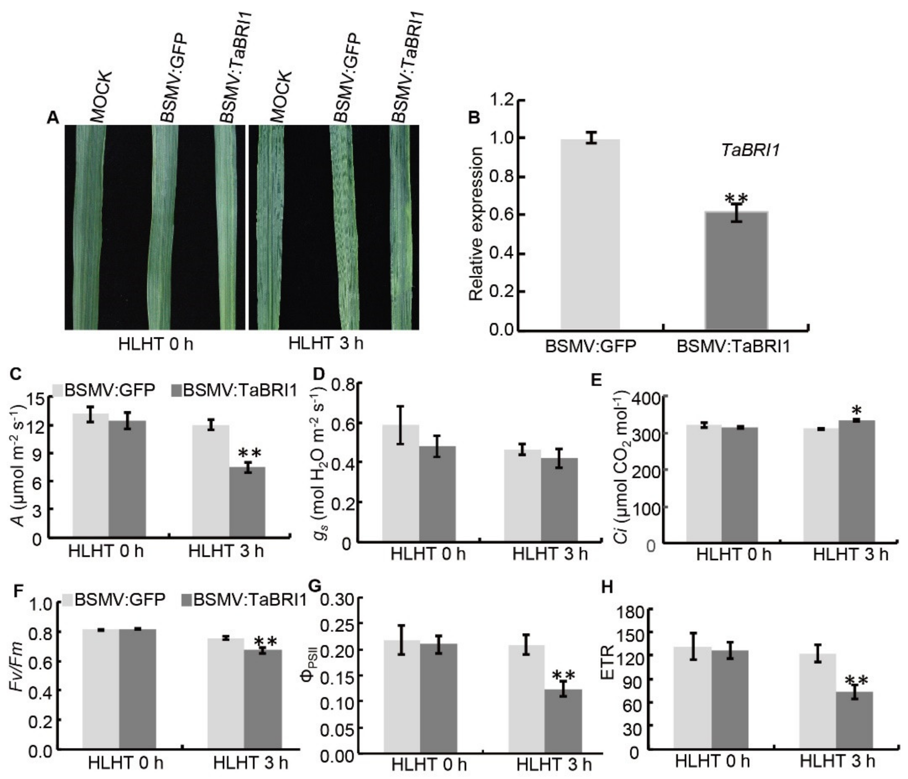 Plants 09 00840 g009