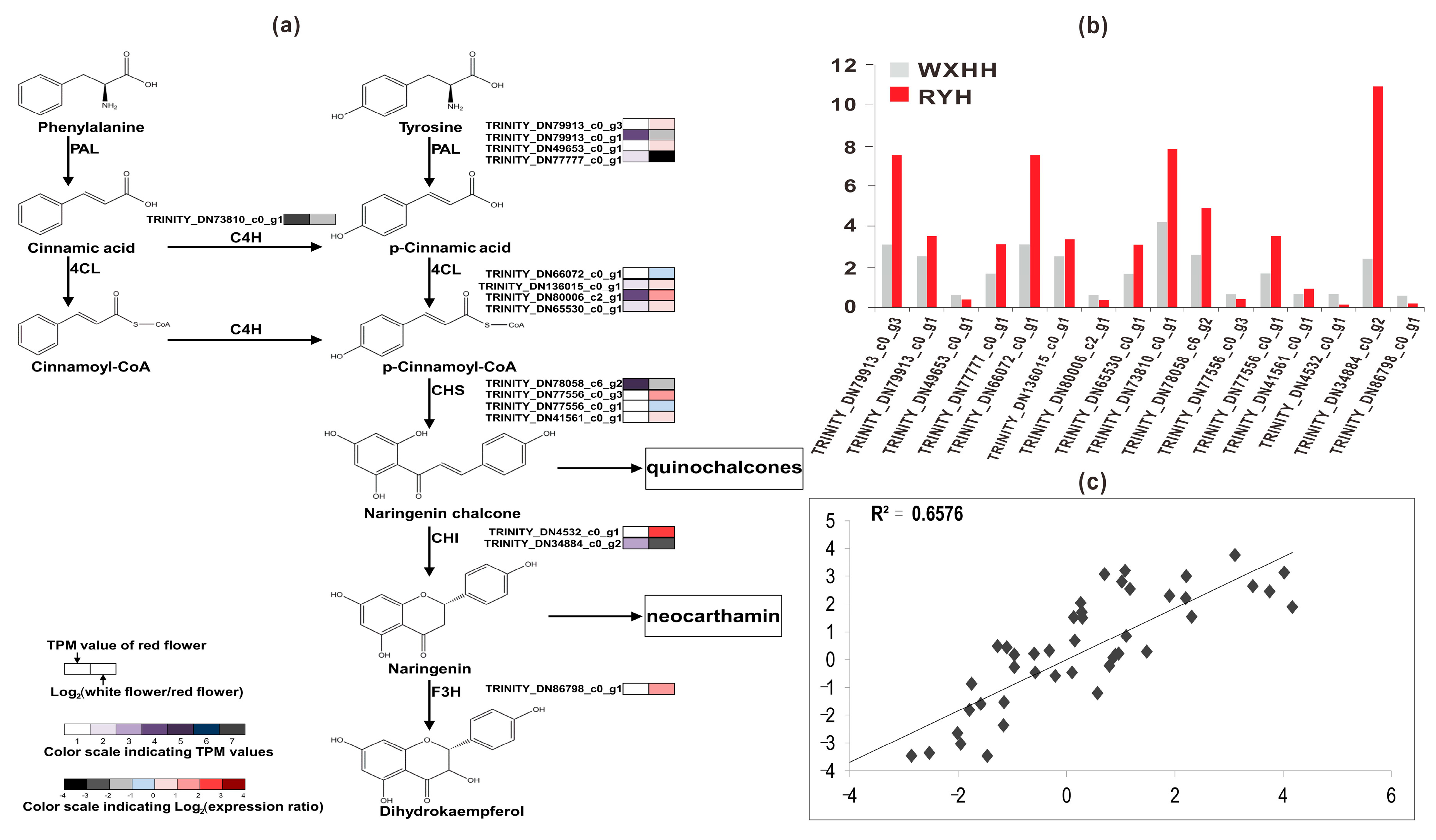 Plants 09 00847 g005 Plants 09 00847 g005