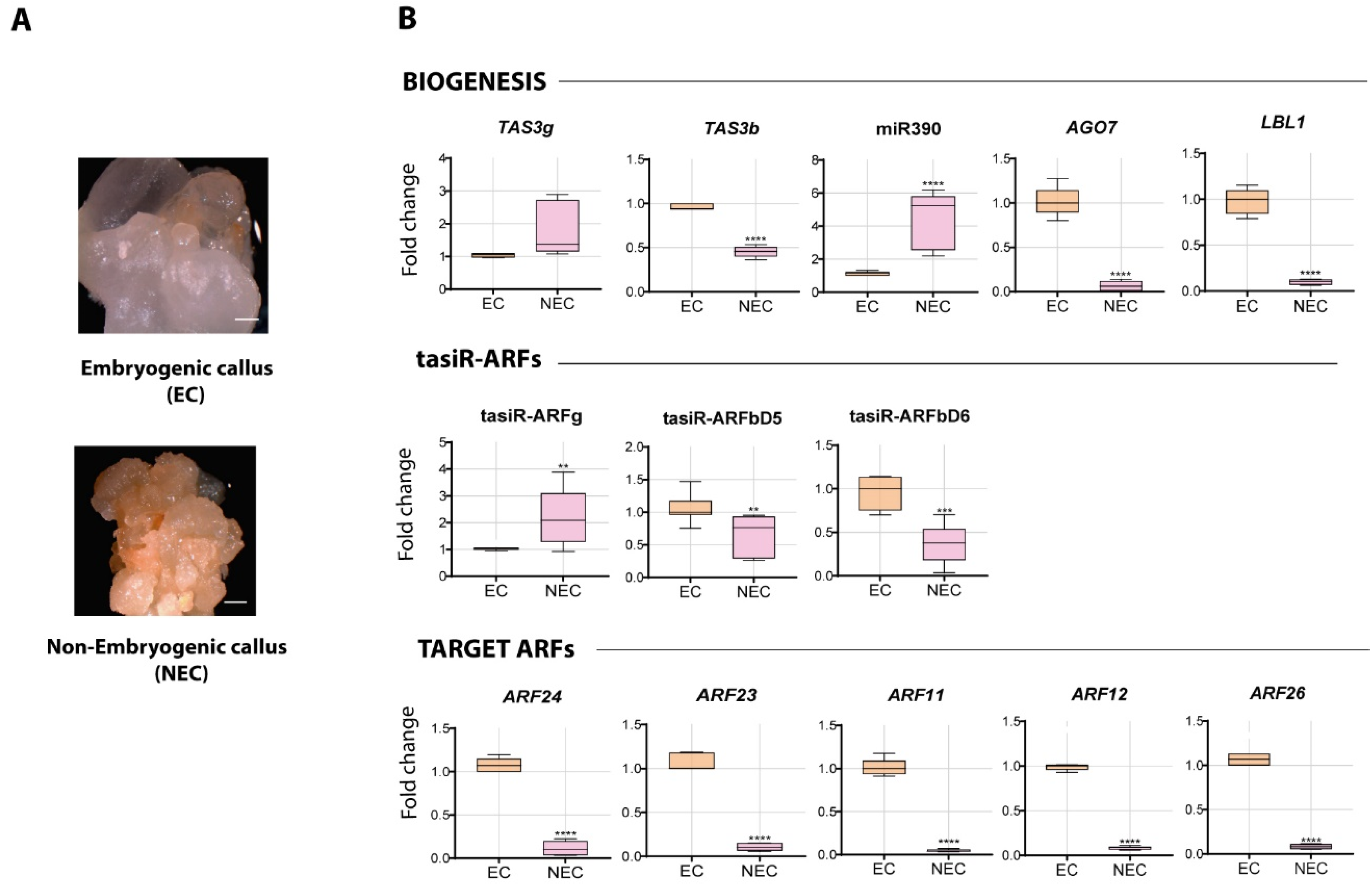 Plants 09 00849 g001 Plants 09 00849 g001