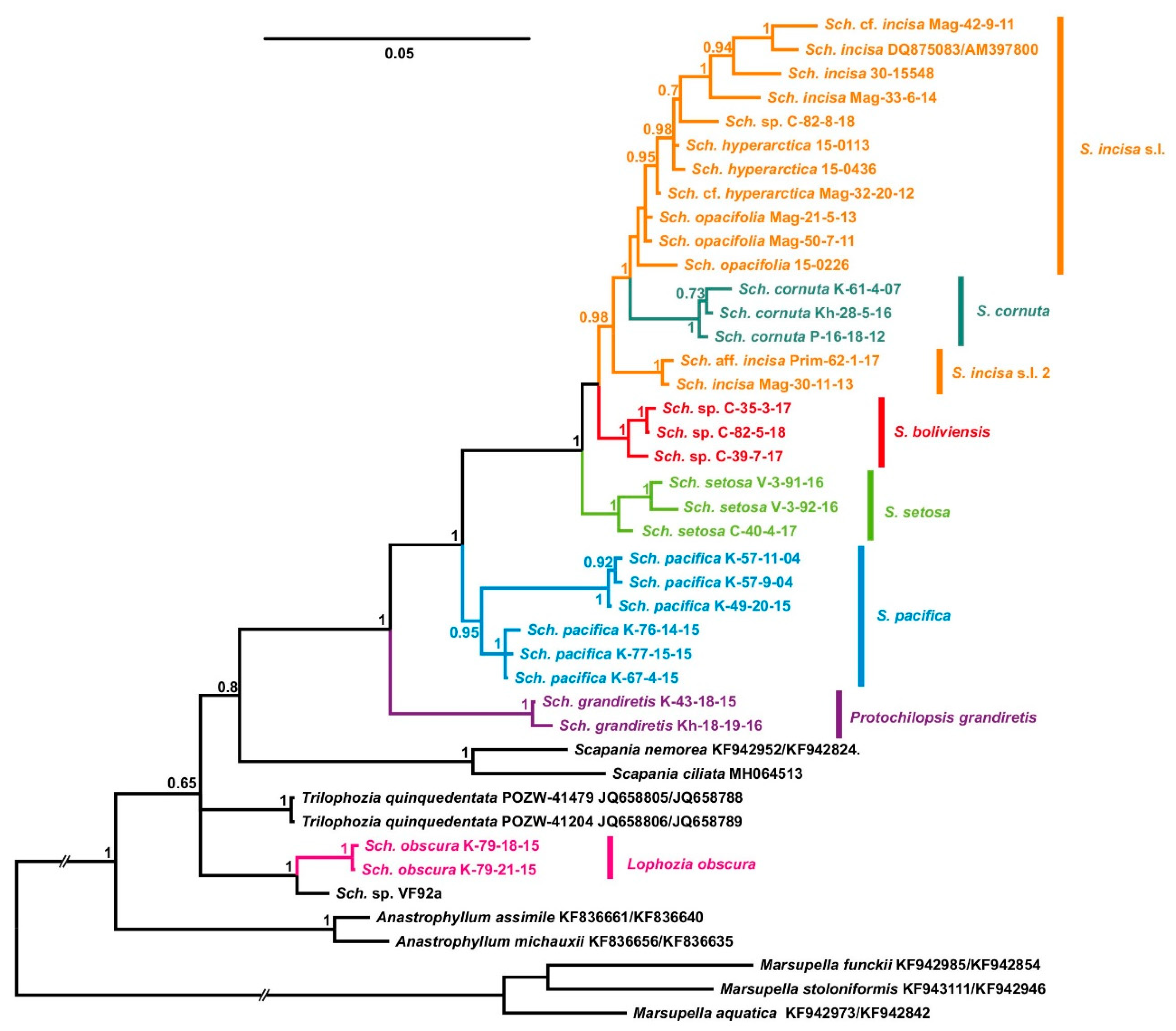 Plants 09 00850 g002