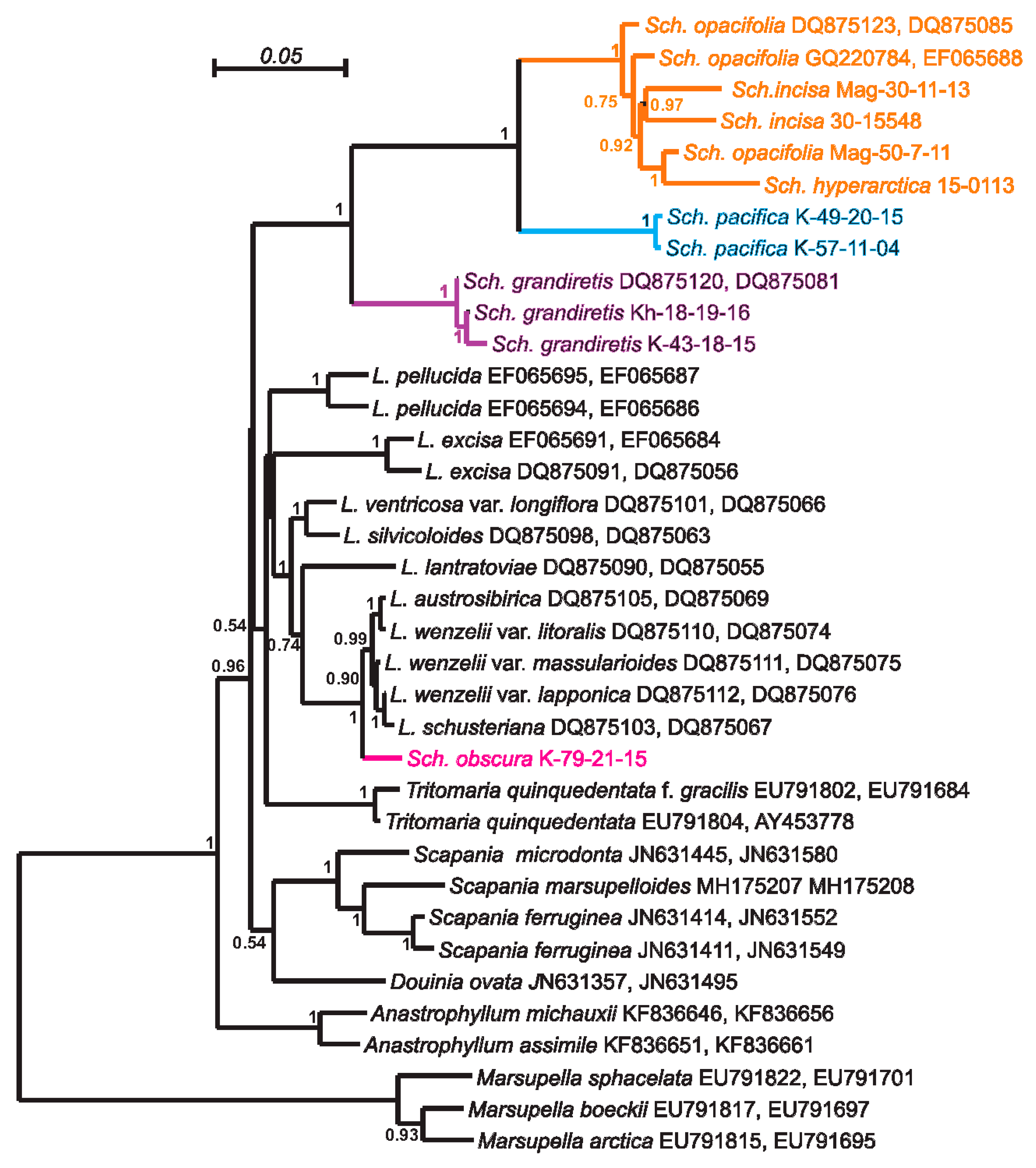 Plants 09 00850 g003
