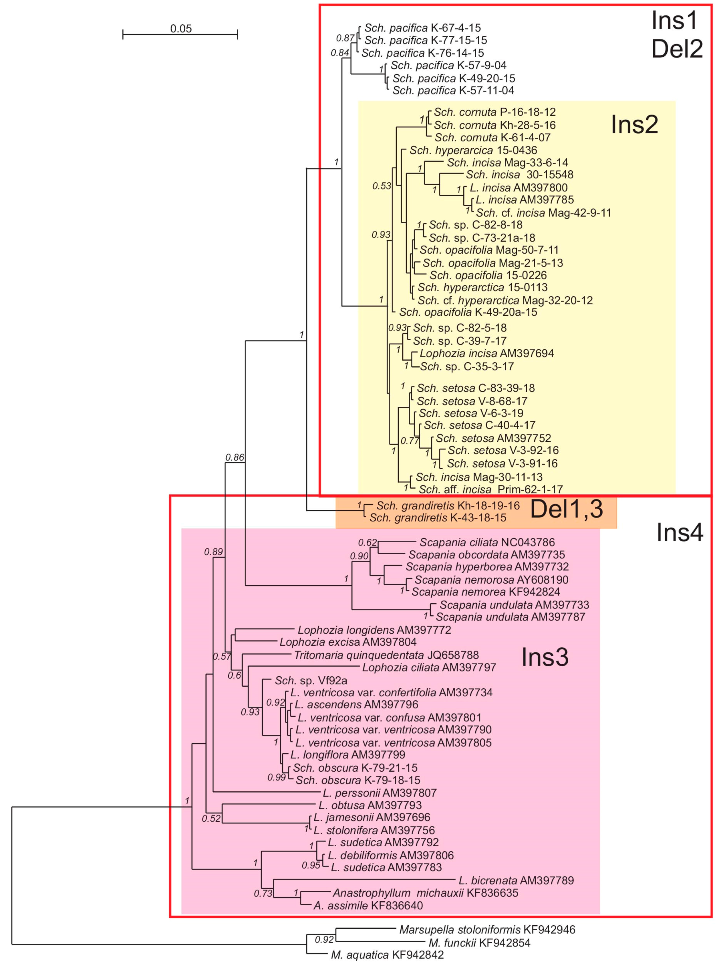 Plants 09 00850 g004