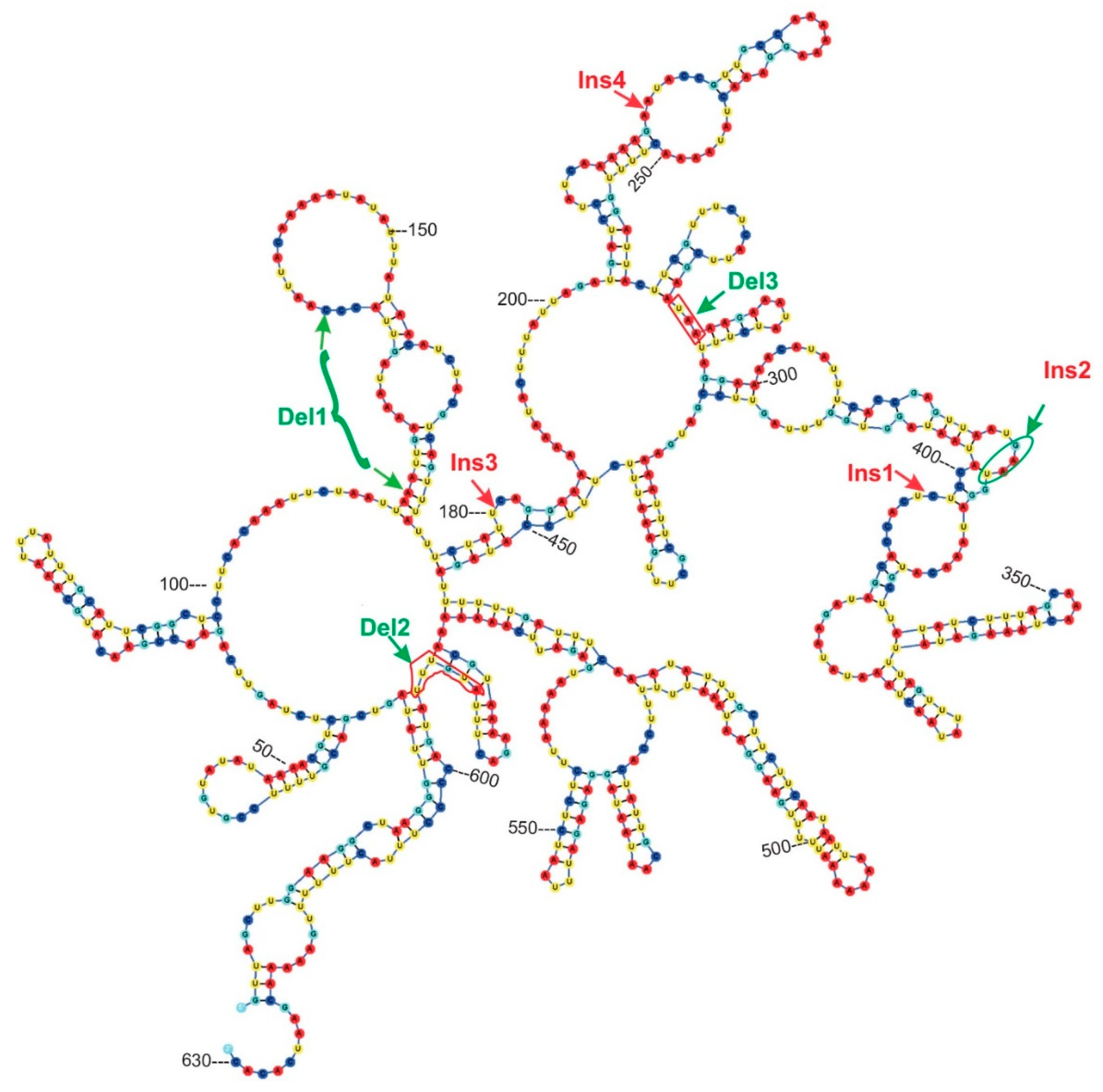 Plants 09 00850 g005