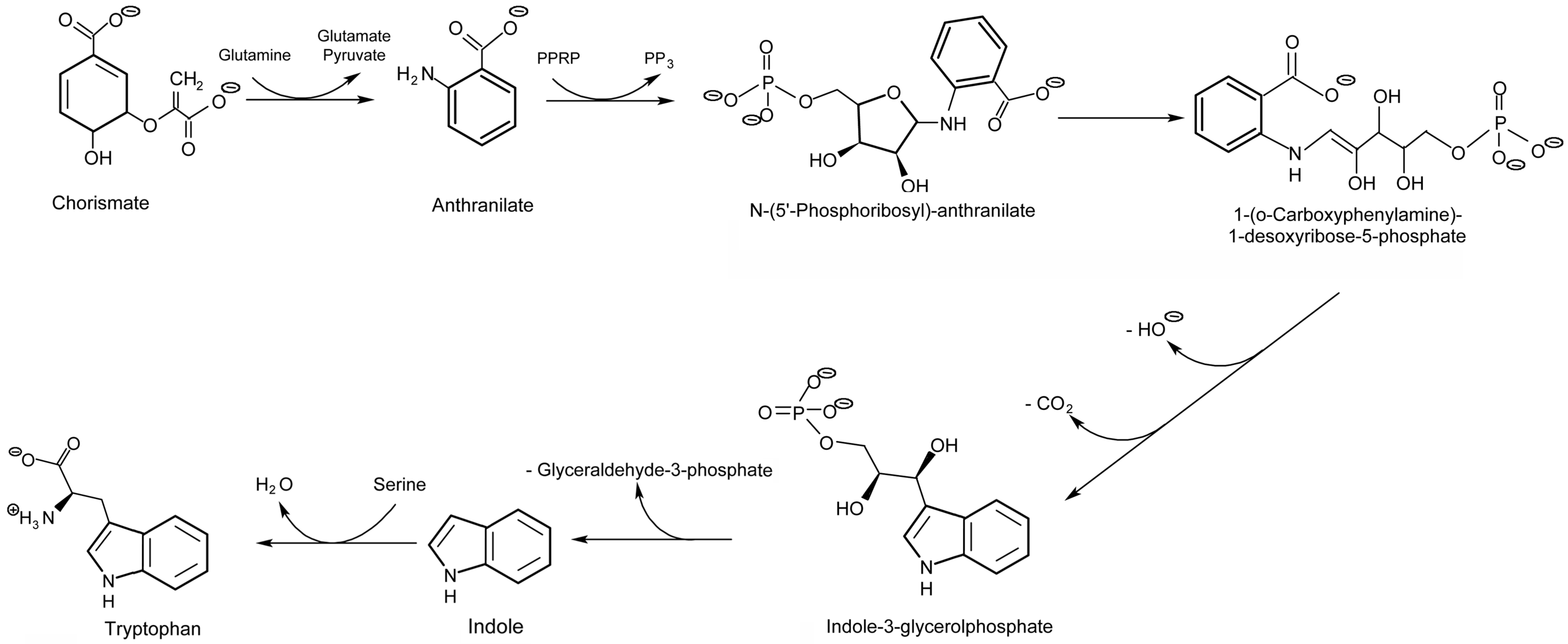 Plants 09 00851 g005