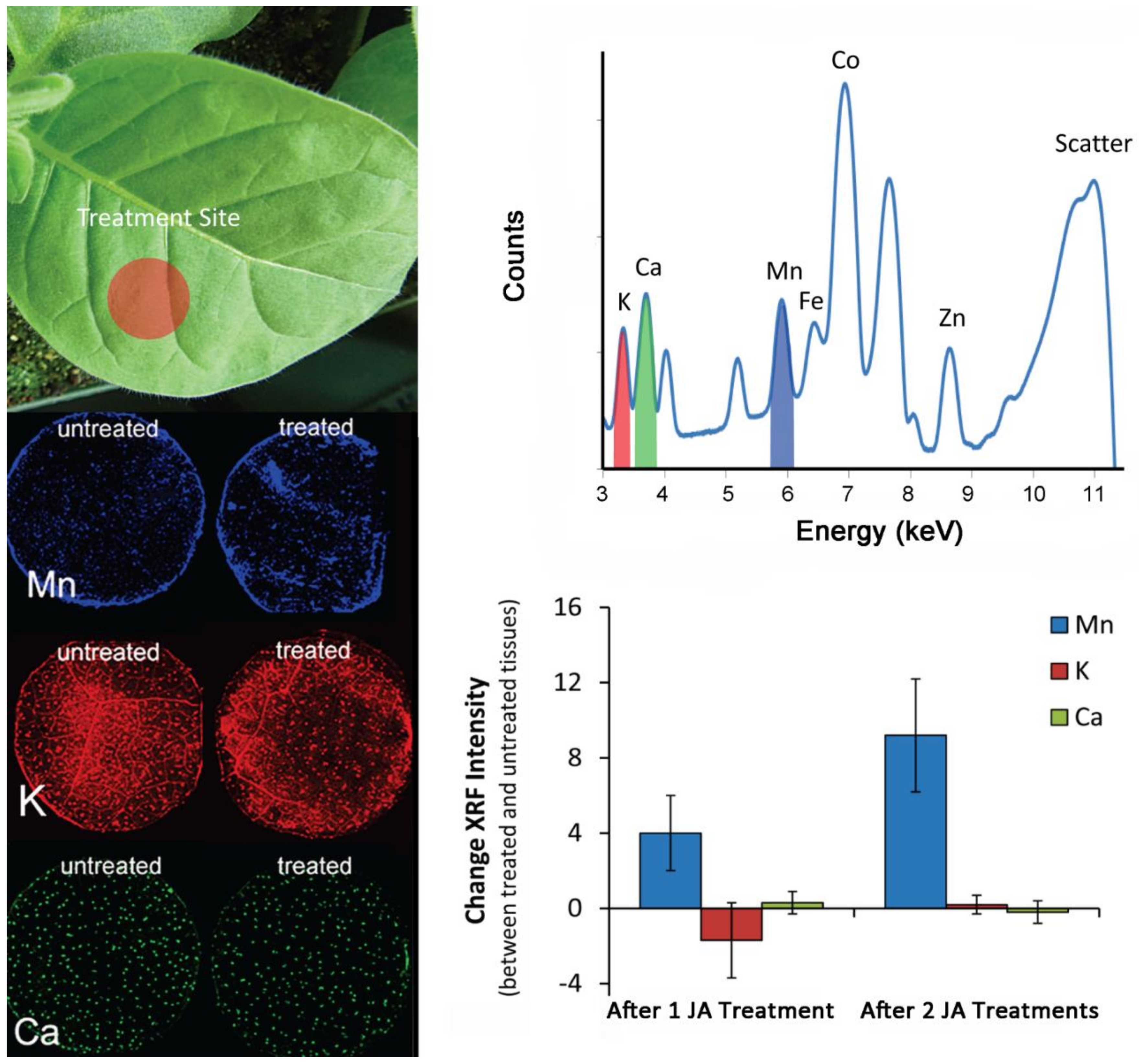 Plants 09 00851 g008