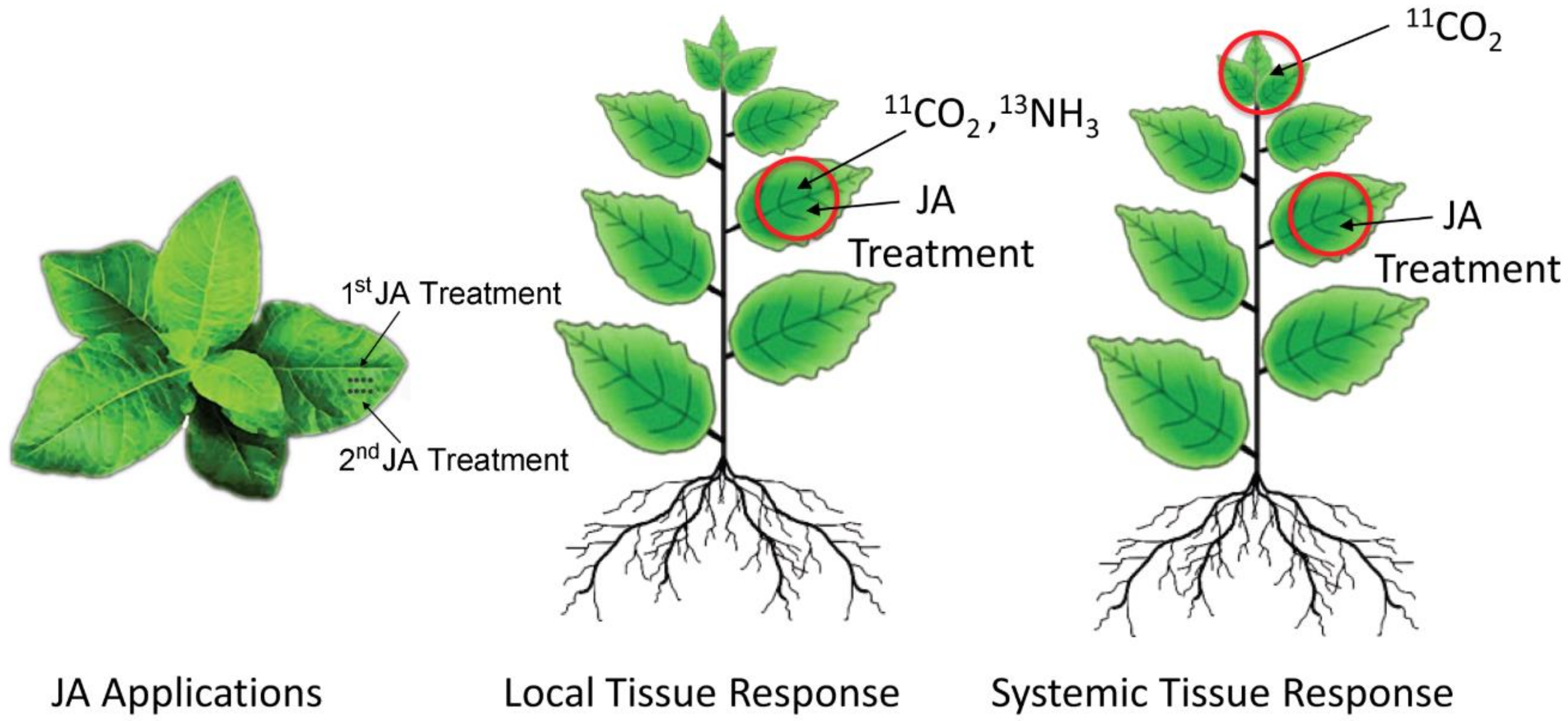 Plants 09 00851 g010