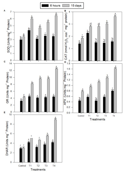 Plants Free Full Text Melatonin Regulatory Mechanisms And Phylogenetic Analyses Of Melatonin Biosynthesis Related Genes Extracted From Peanut Under Salinity Stress Html