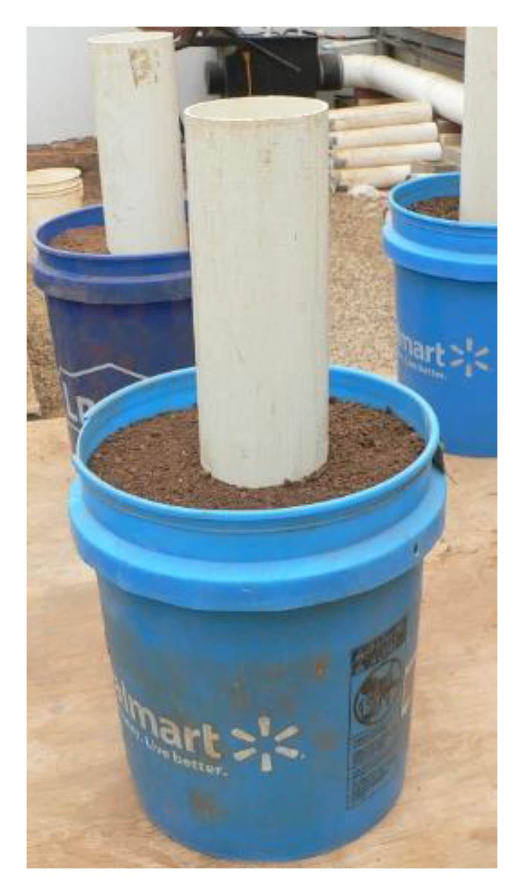 Plants 09 00857 g005 Plants 09 00857 g005