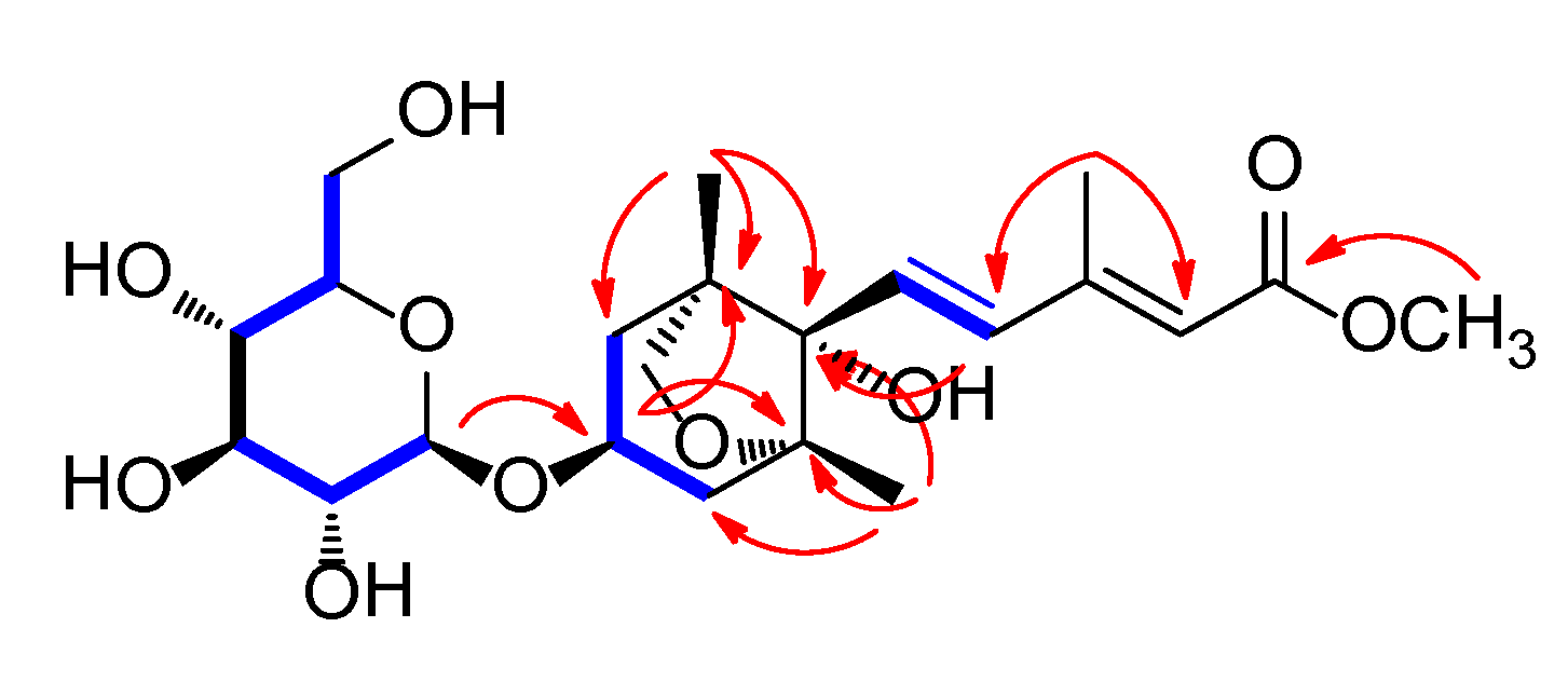 Plants 09 00858 g002