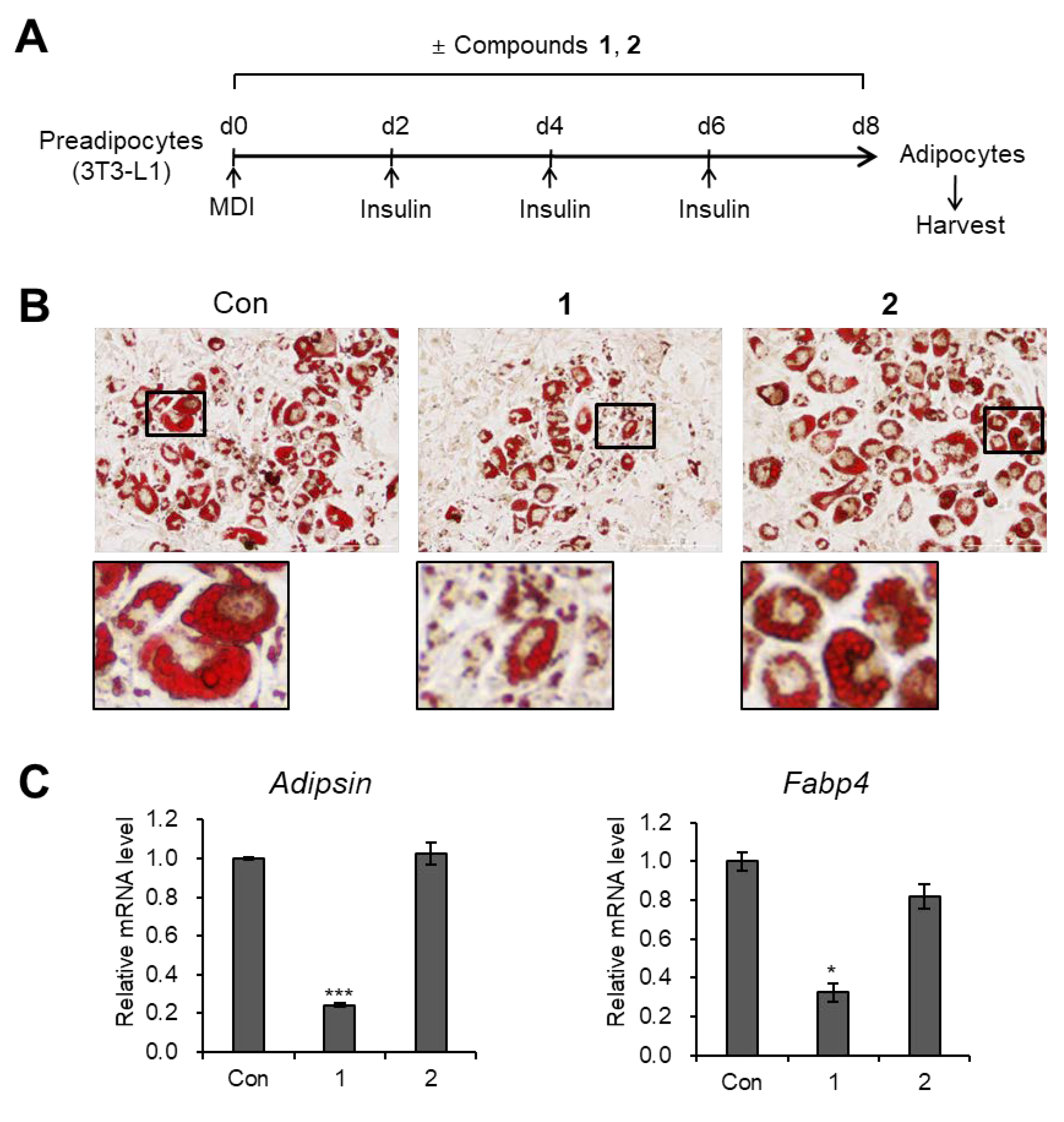 Plants 09 00858 g005