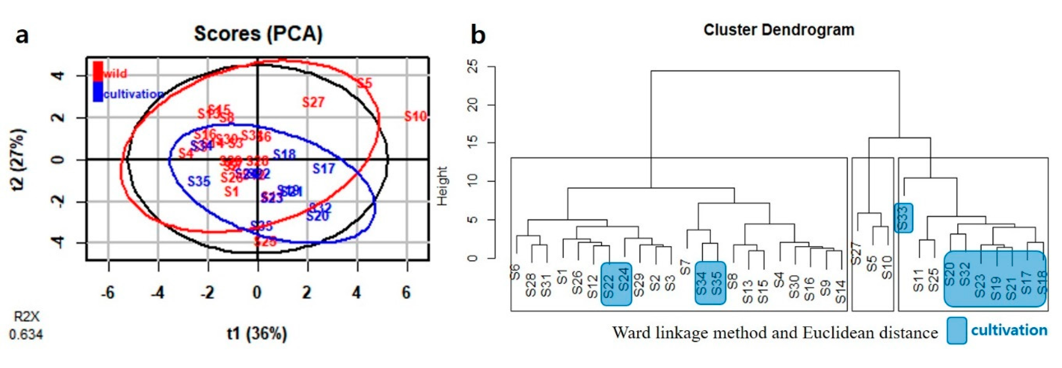 Plants 09 00860 g004