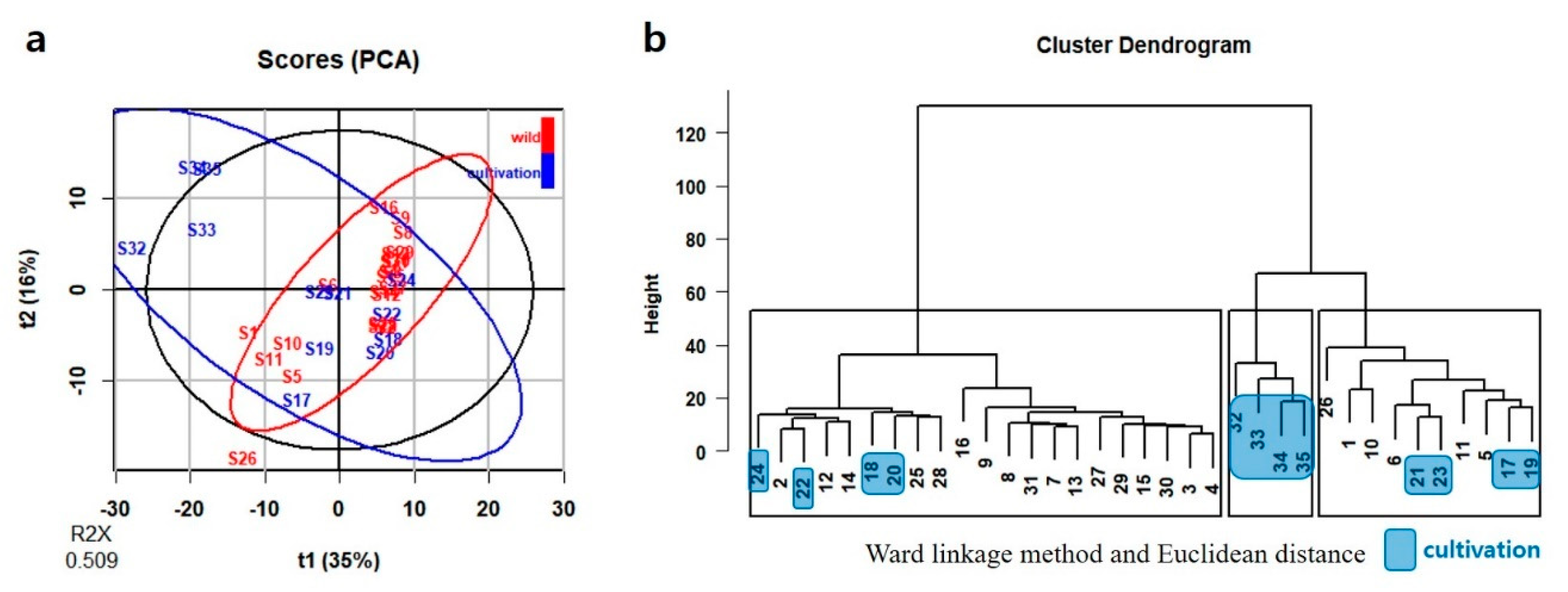Plants 09 00860 g007