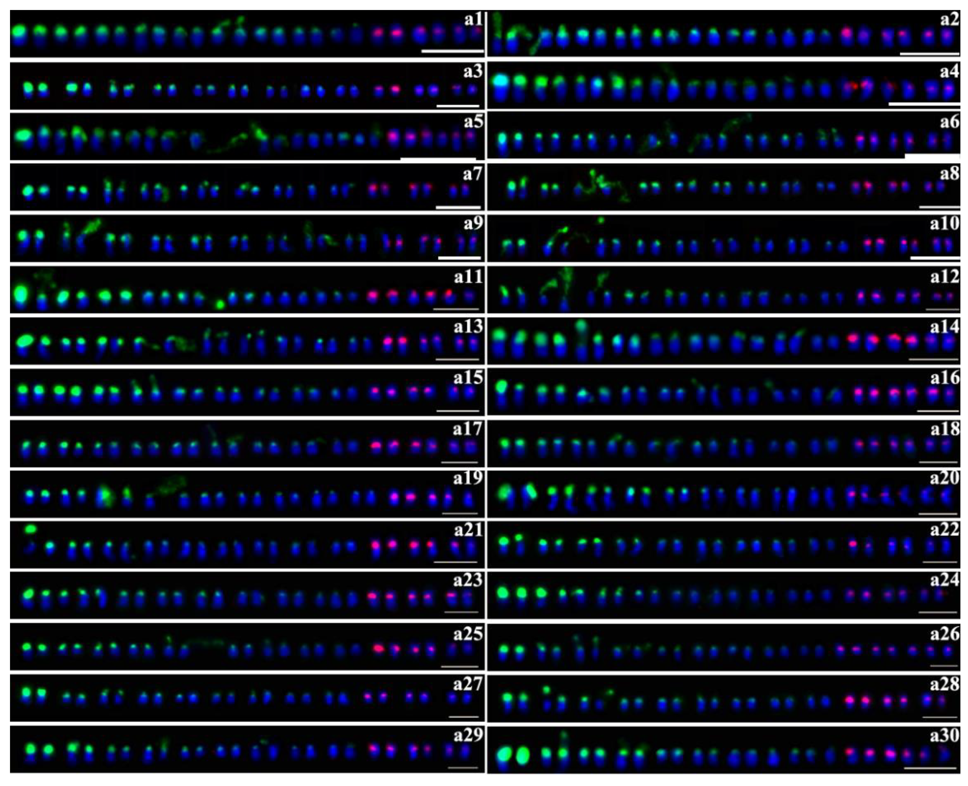 Plants 09 00865 g001