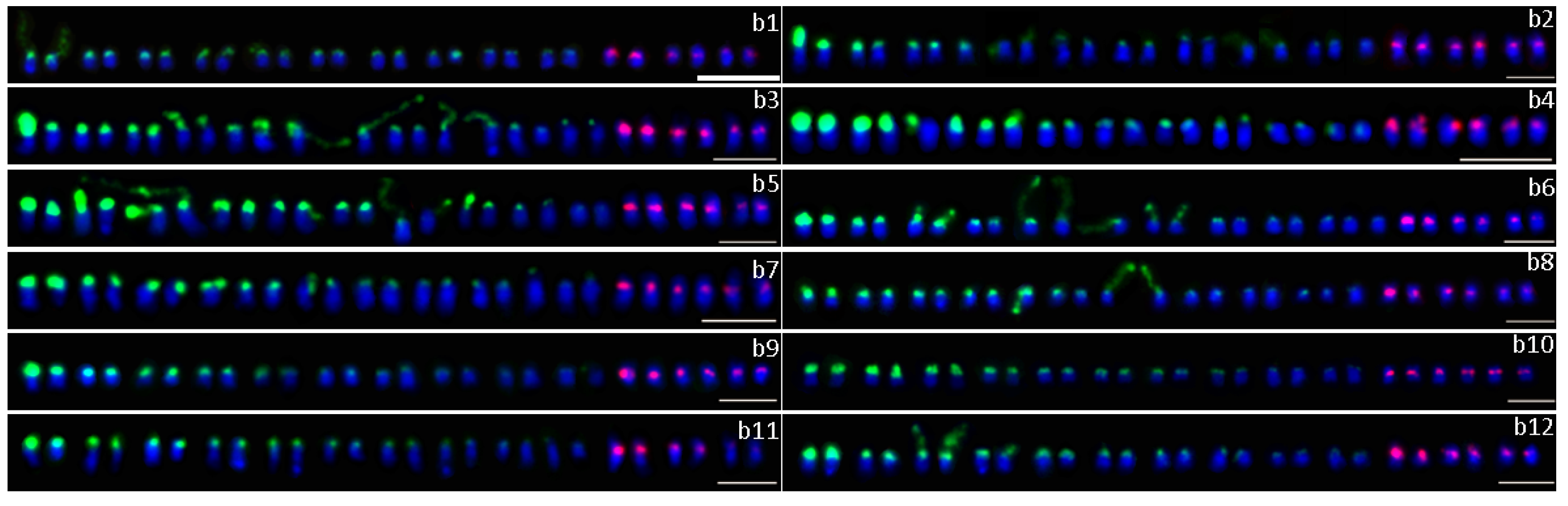 Plants 09 00865 g002