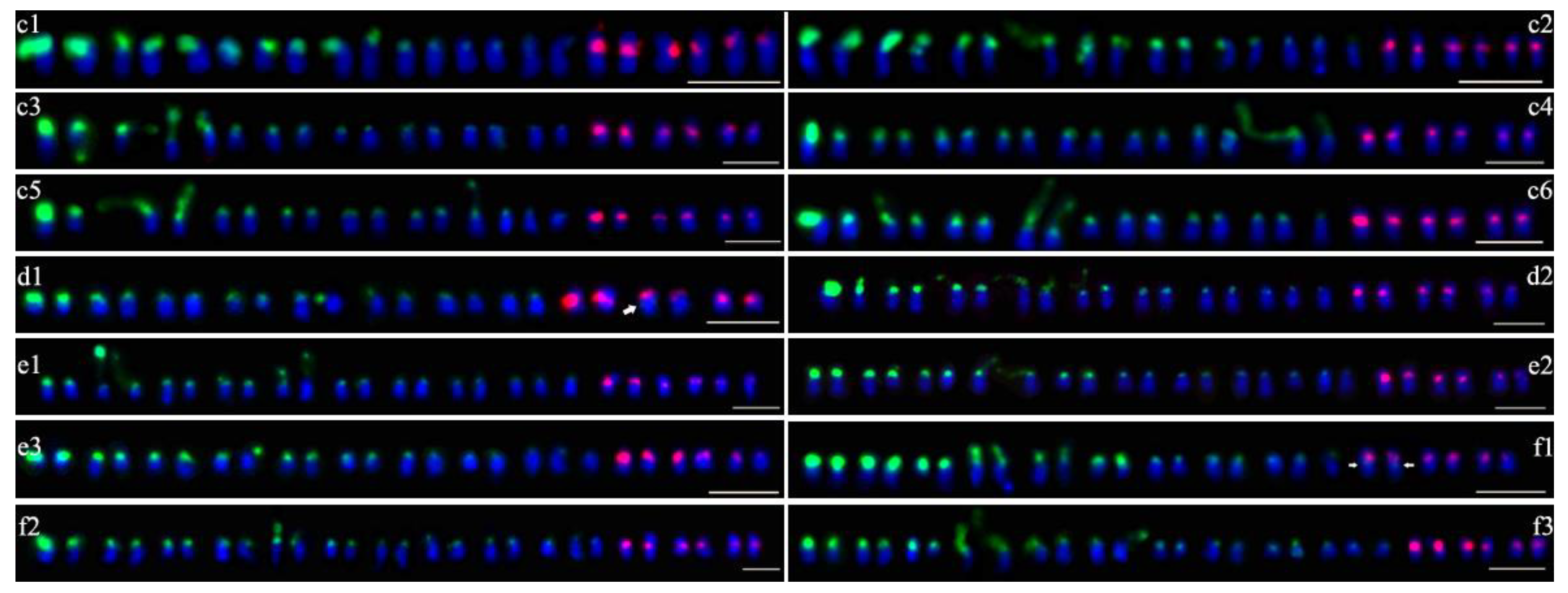 Plants 09 00865 g003