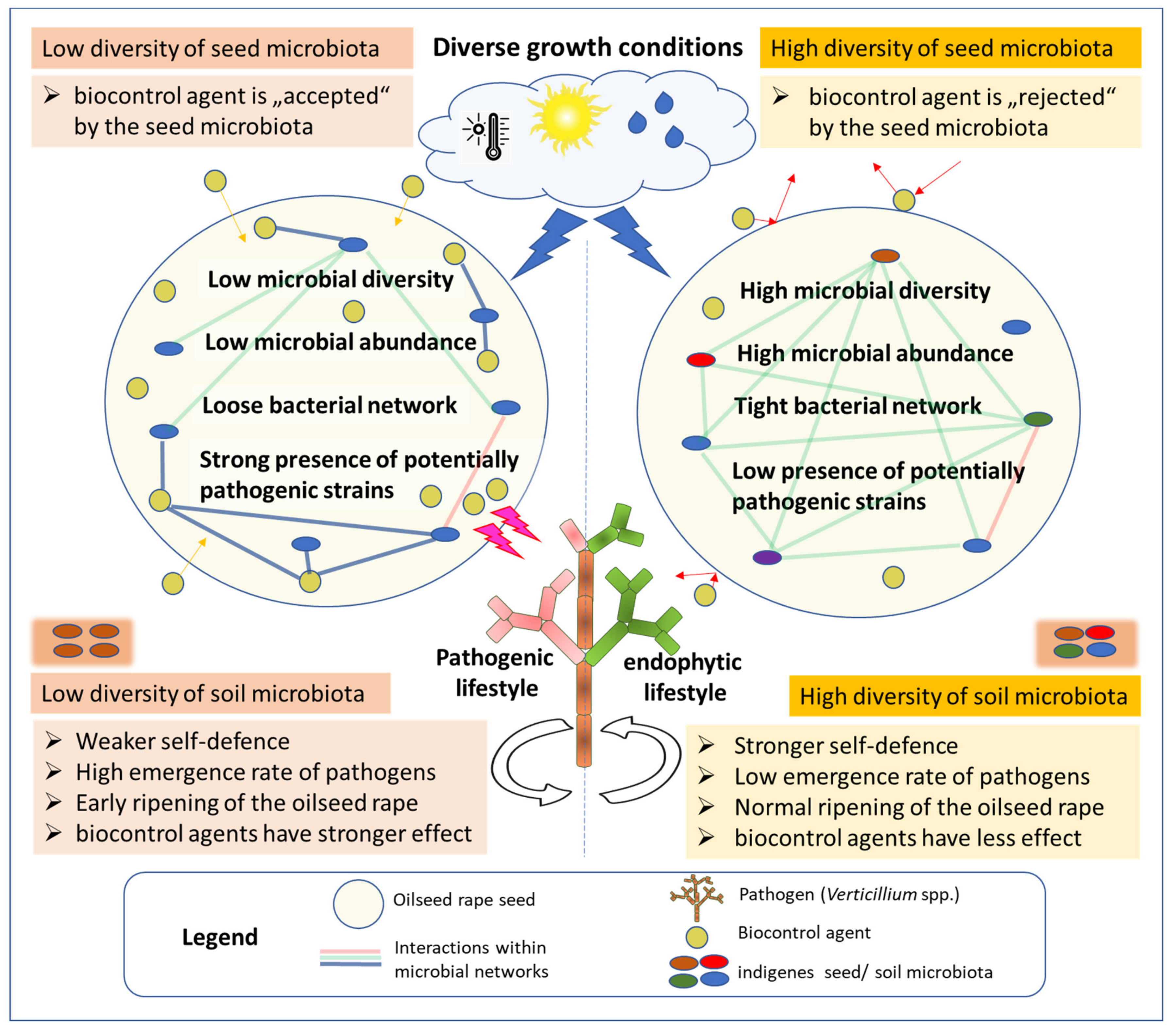 Plants 09 00866 g002