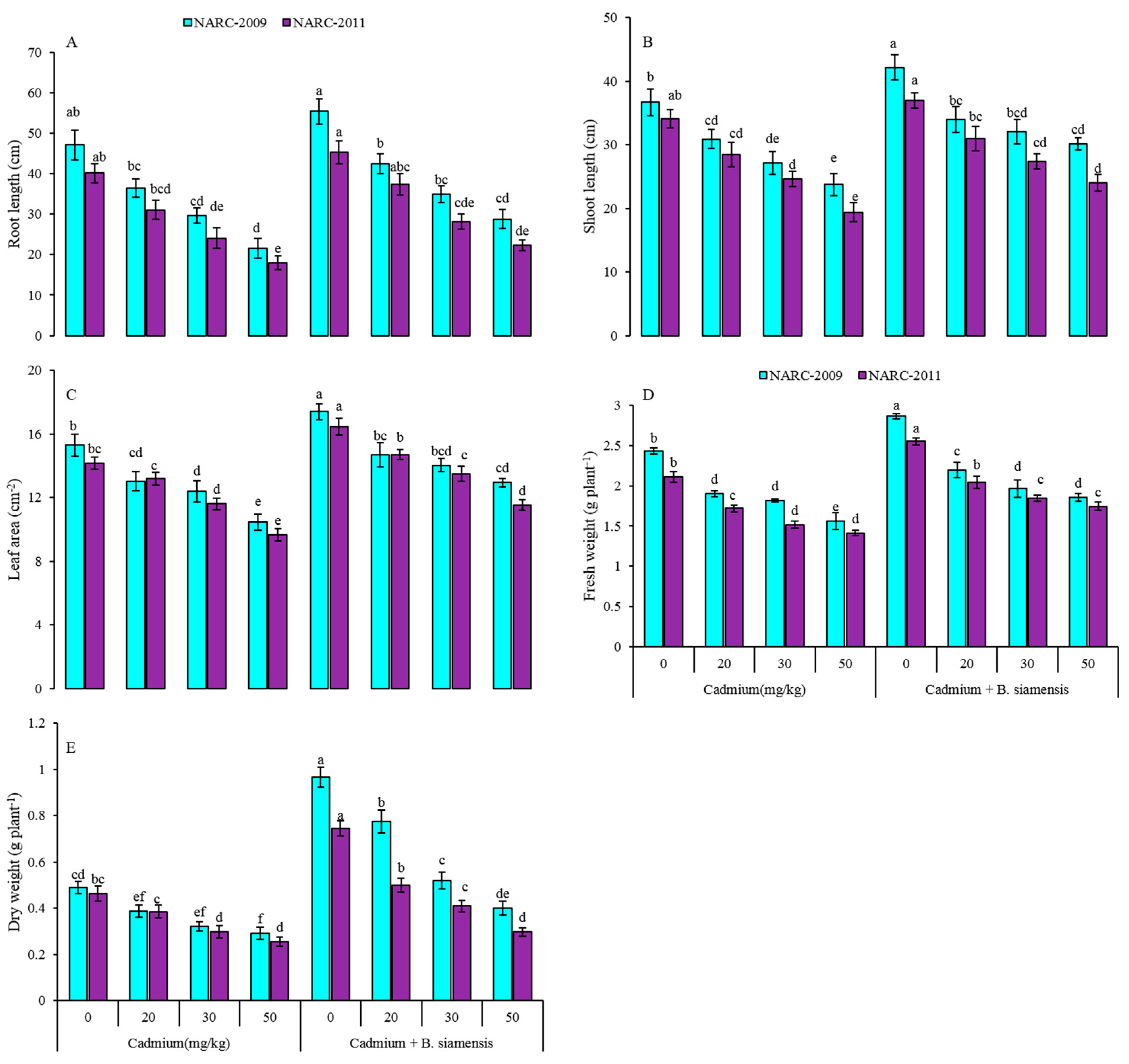 Plants 09 00878 g001