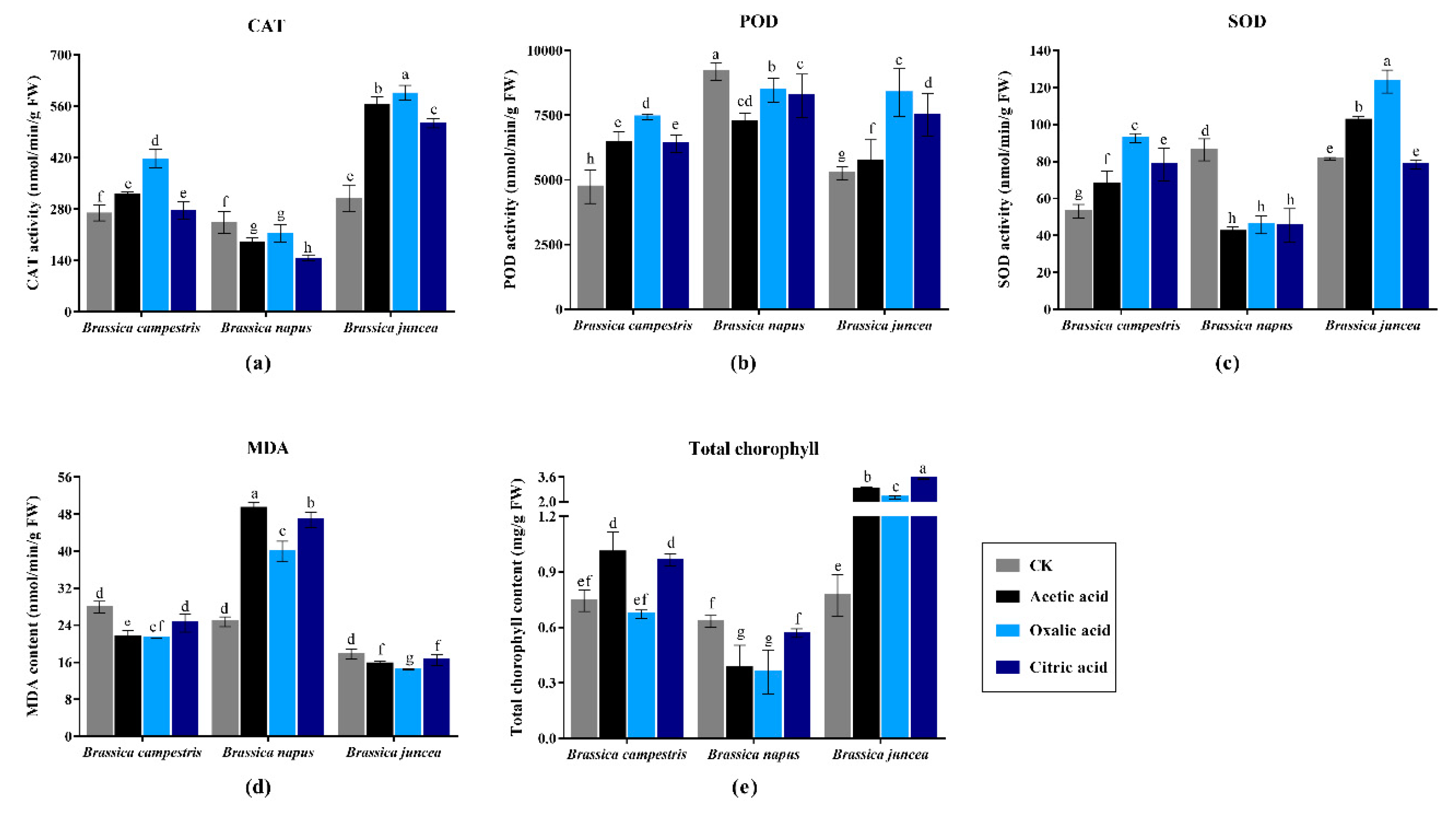 Plants 09 00884 g004