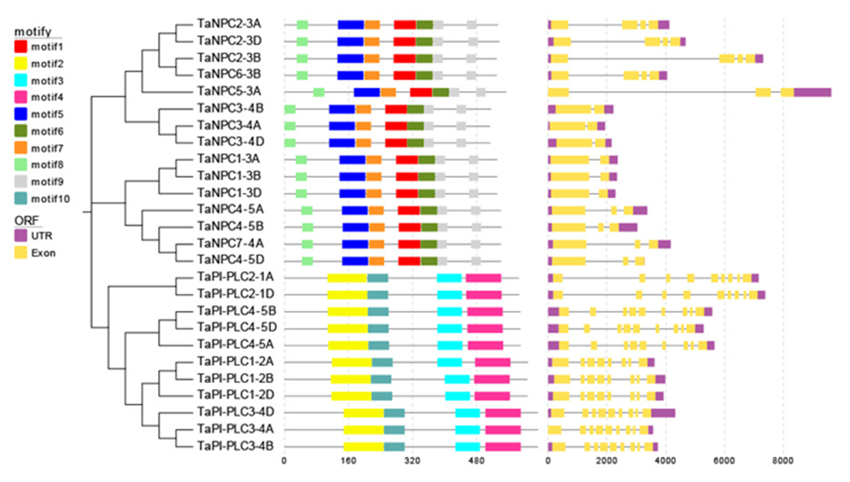 Plants 09 00885 g001 Plants 09 00885 g001