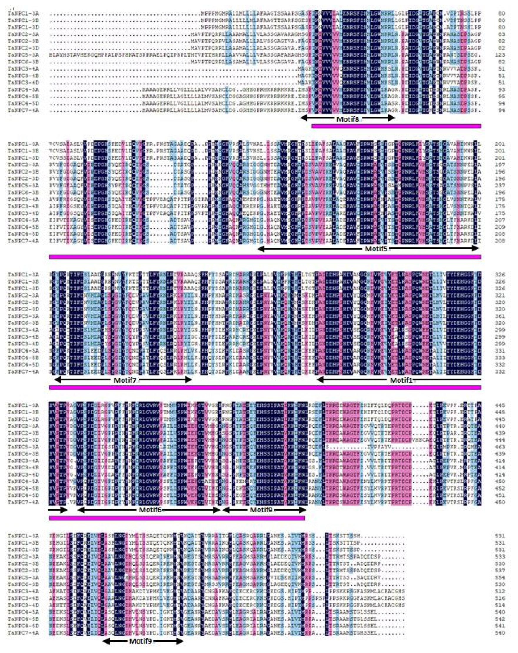 Plants 09 00885 g002 Plants 09 00885 g002