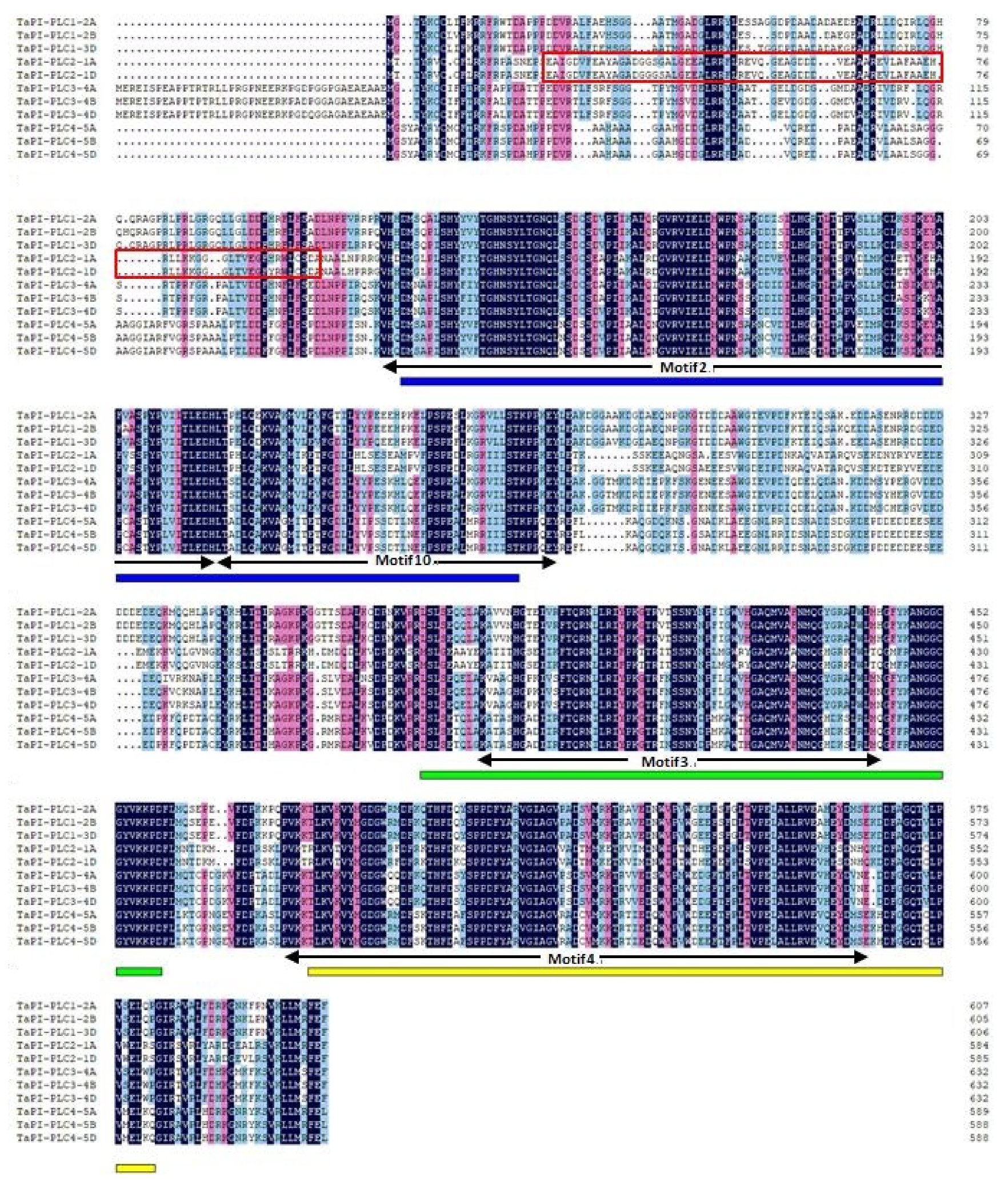 Plants 09 00885 g003 Plants 09 00885 g003