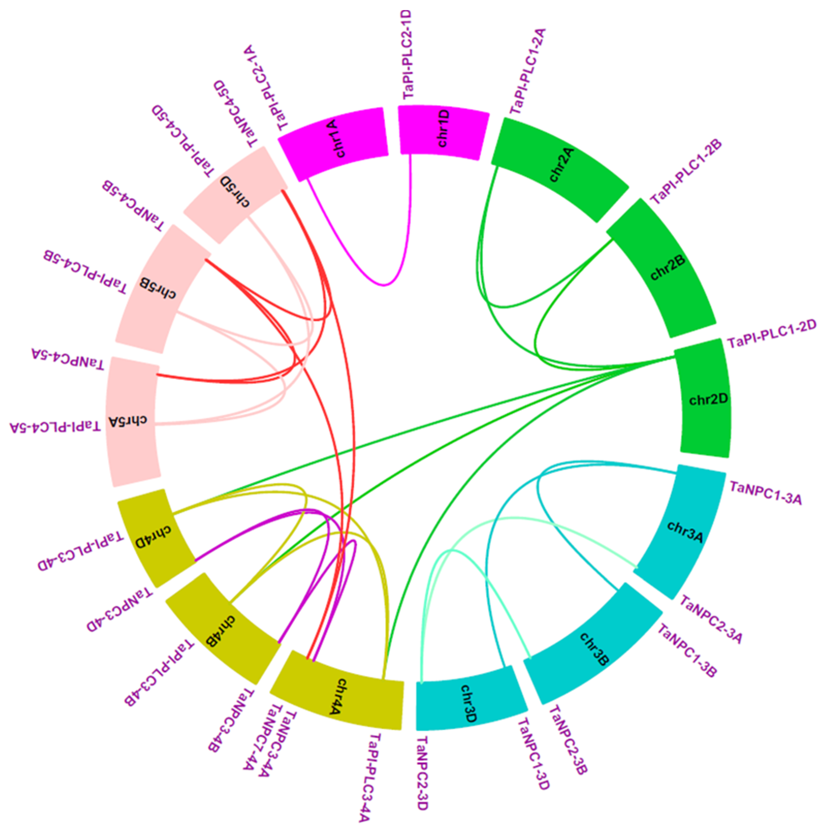 Plants 09 00885 g006 Plants 09 00885 g006