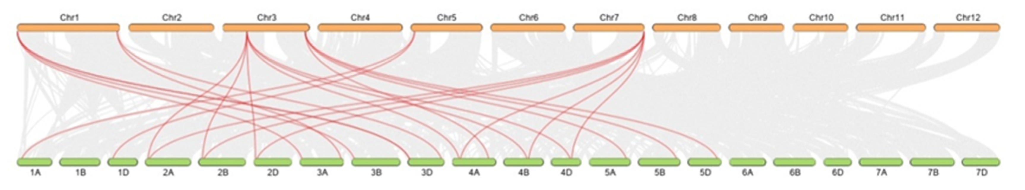 Plants 09 00885 g007 Plants 09 00885 g007