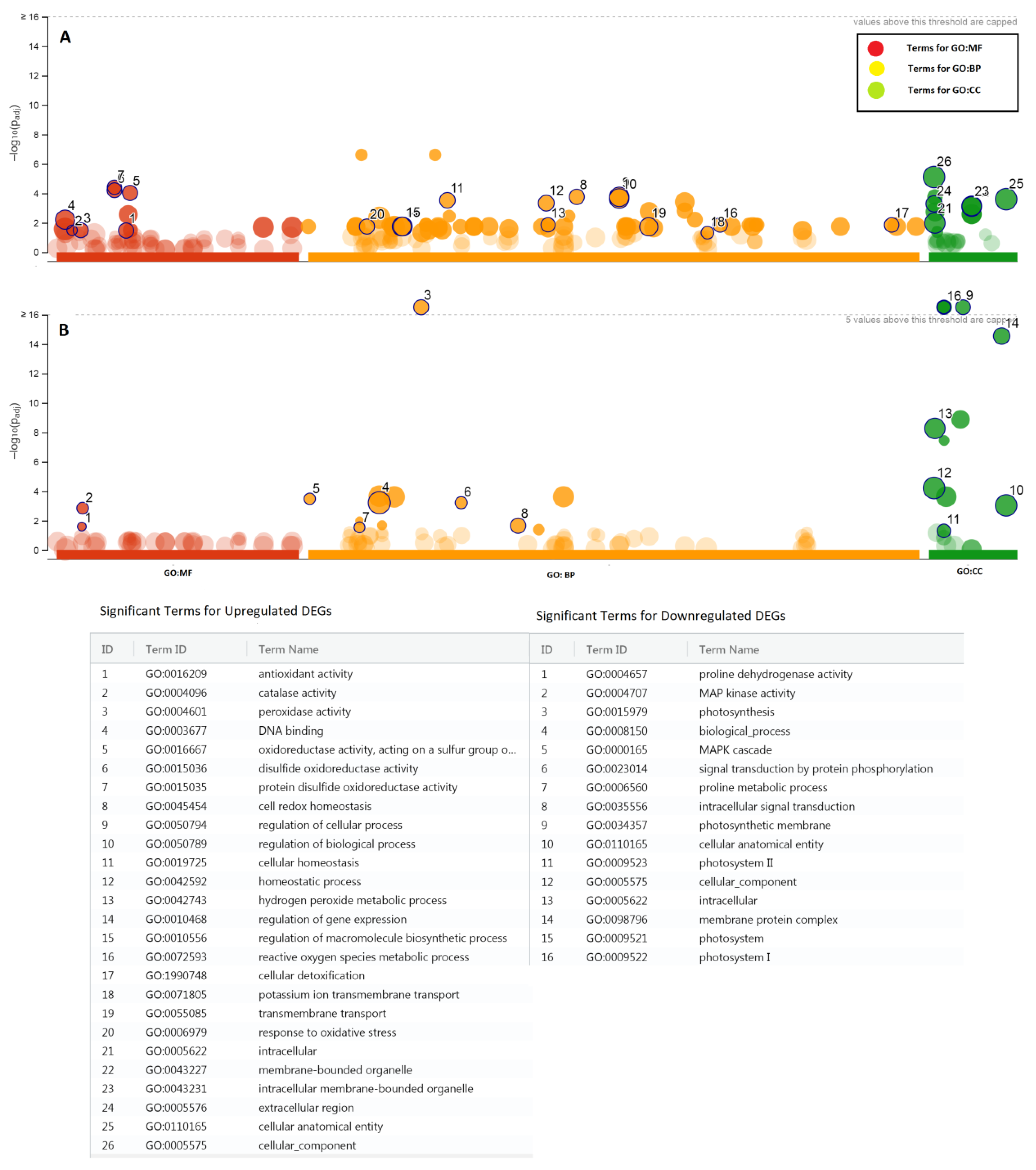 Plants 09 00891 g005