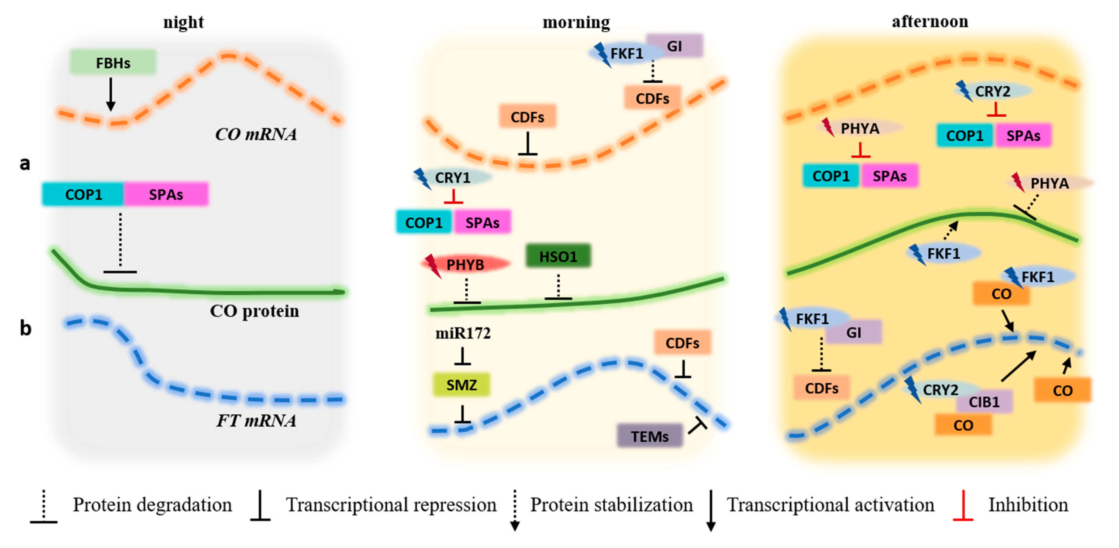 Plants 09 00894 g002 Plants 09 00894 g002