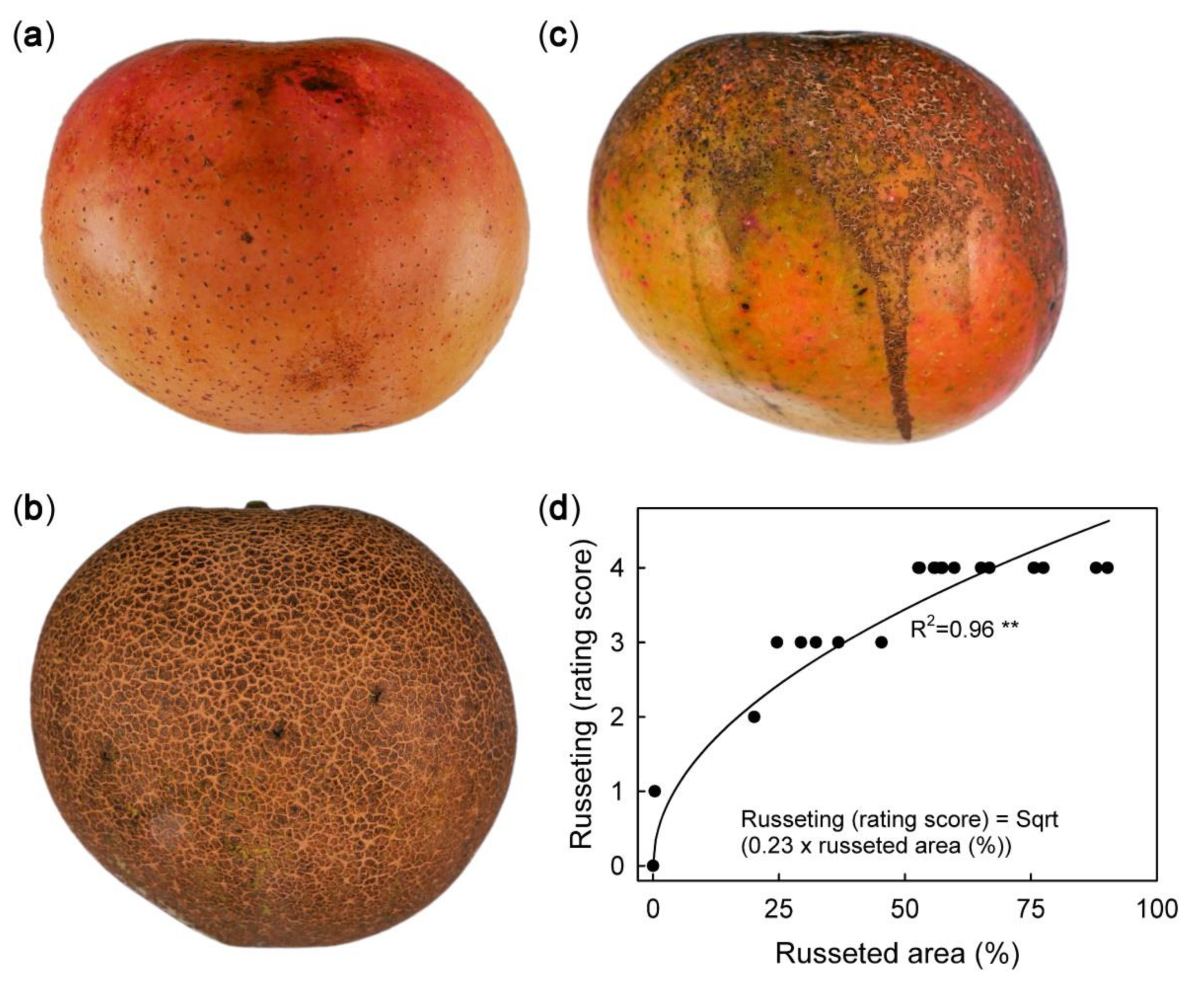 Kai Gets Sweet in Peaches - EnVi Media