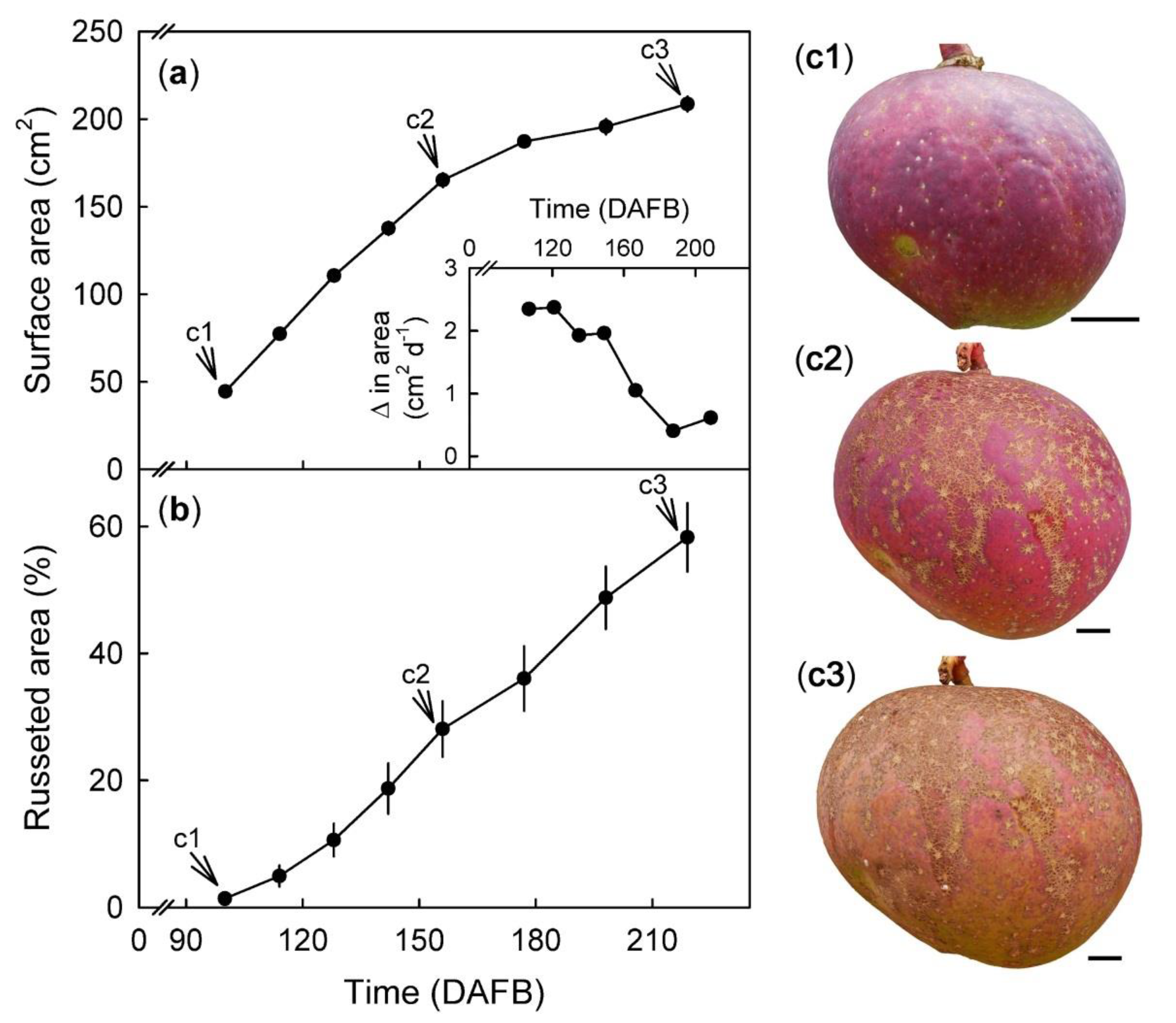 plants free full text russeting in apple mango triggers and mechanisms html