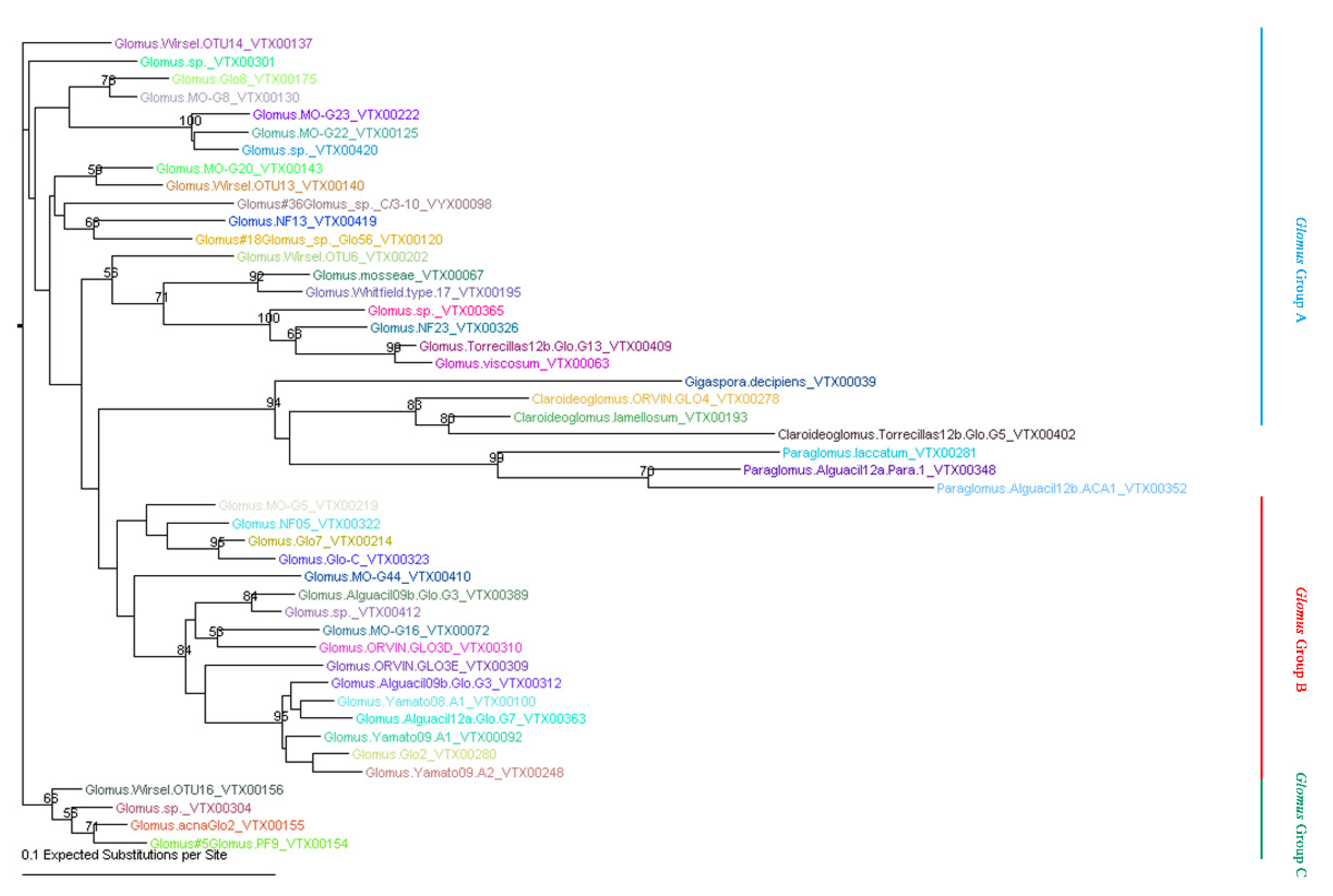 Plants 09 00901 g001