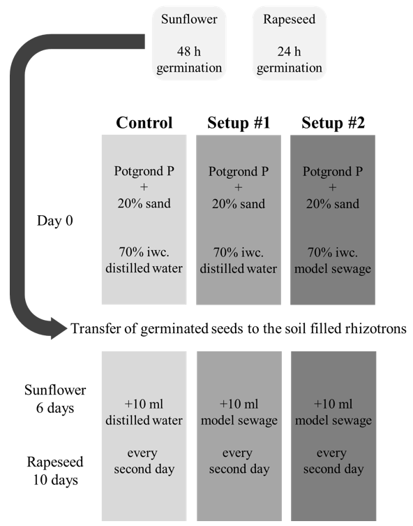 Plants 09 00902 g001