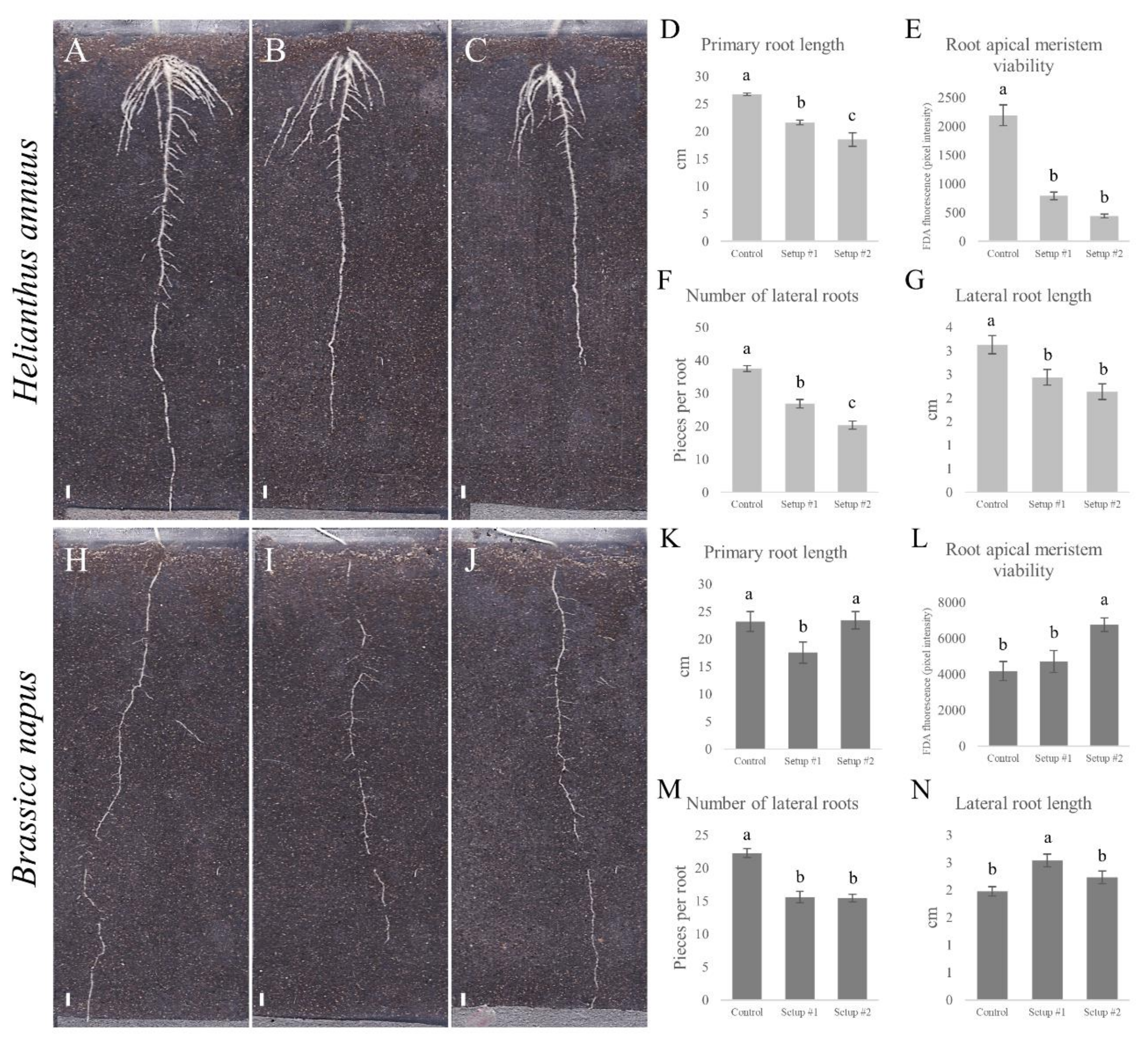 Plants 09 00902 g004