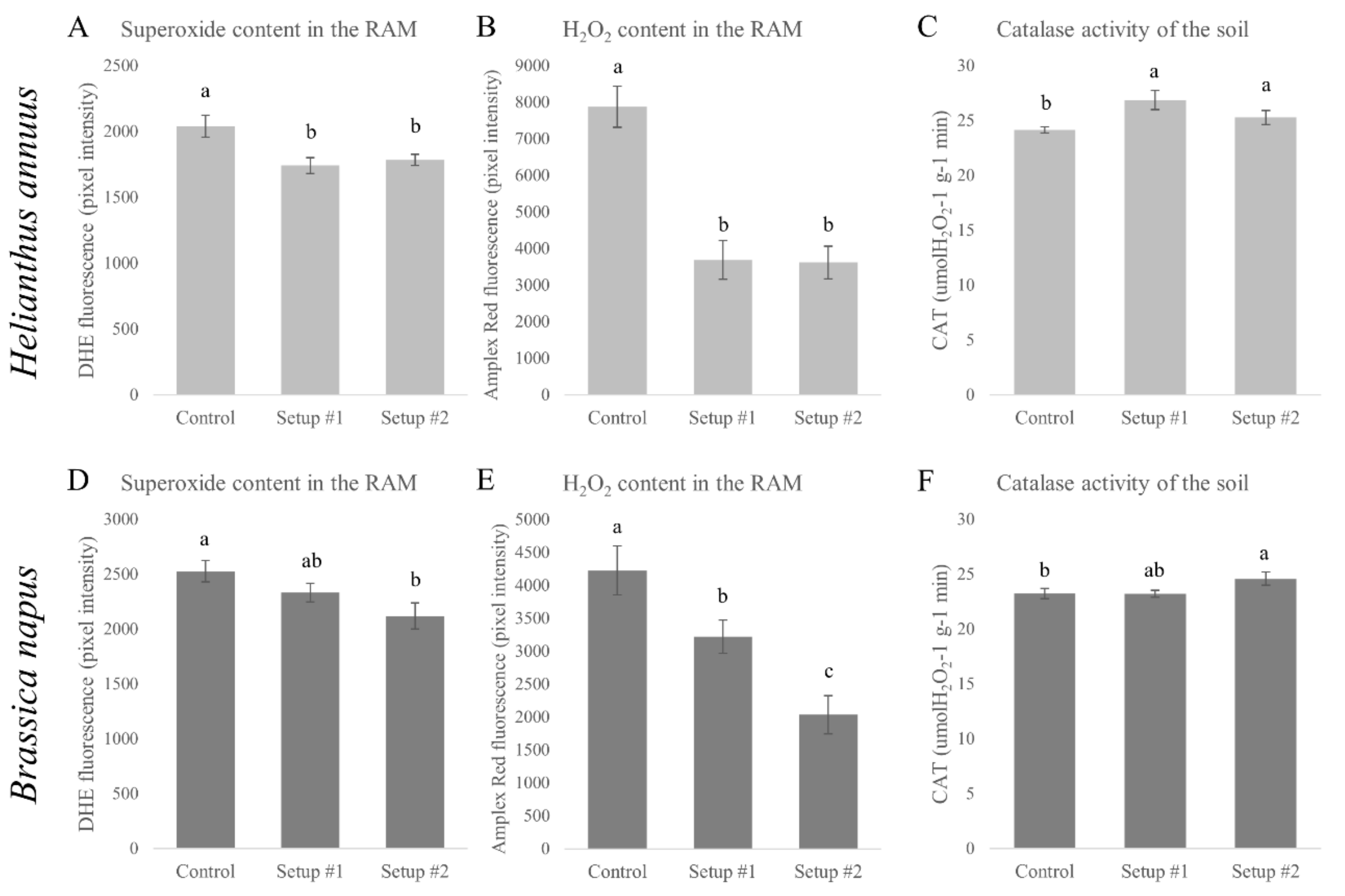 Plants 09 00902 g005