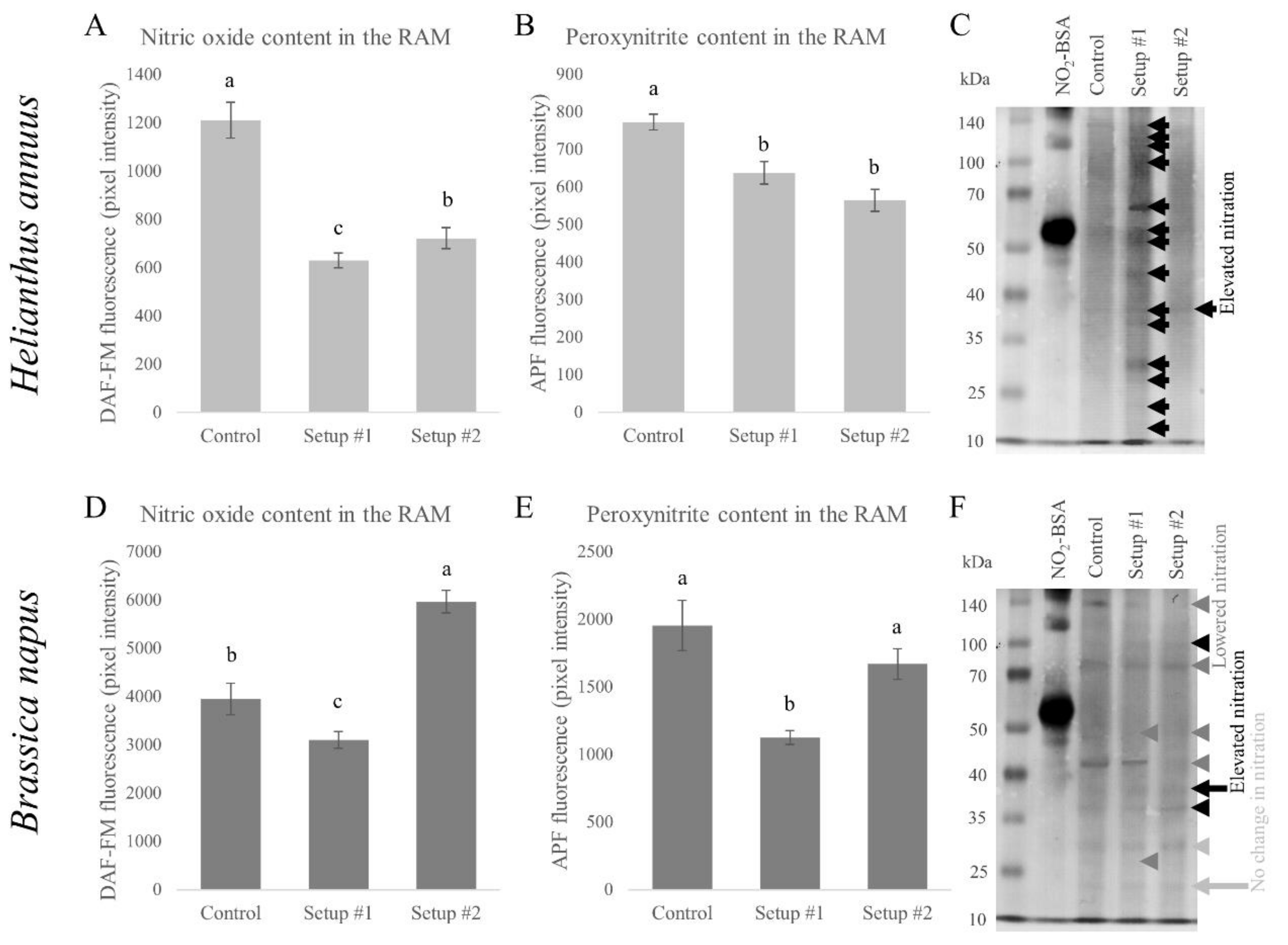 Plants 09 00902 g006