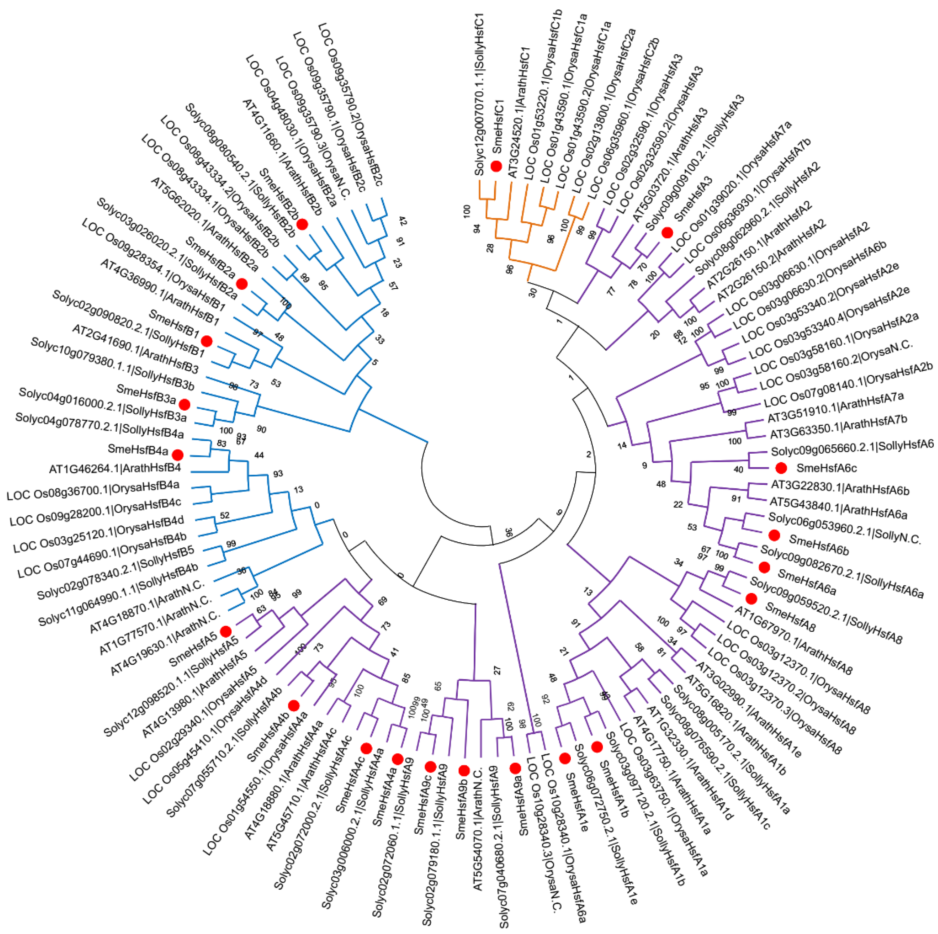 Plants 09 00915 g003 Plants 09 00915 g003