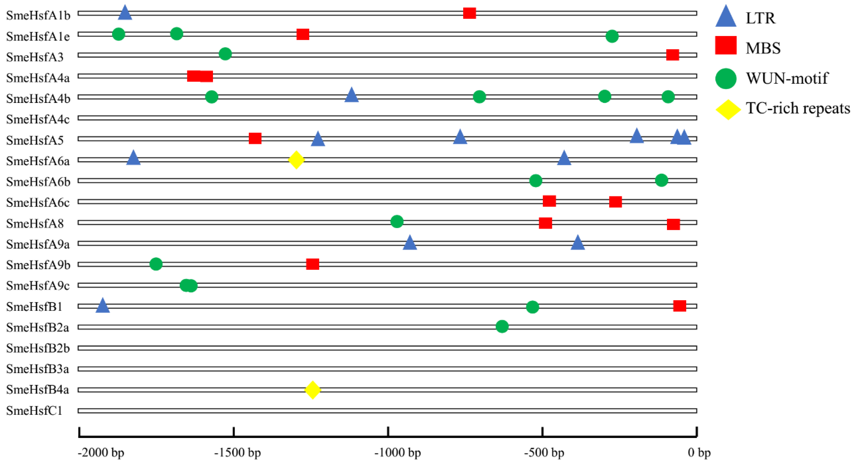 Plants 09 00915 g004 Plants 09 00915 g004
