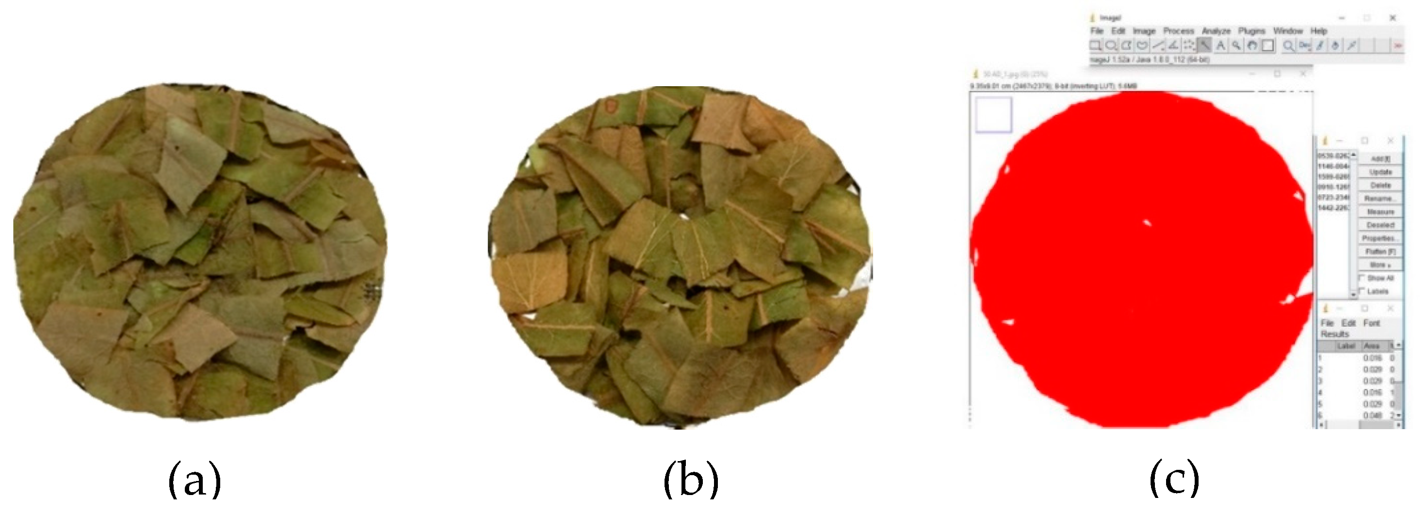 Plants 09 00916 g005