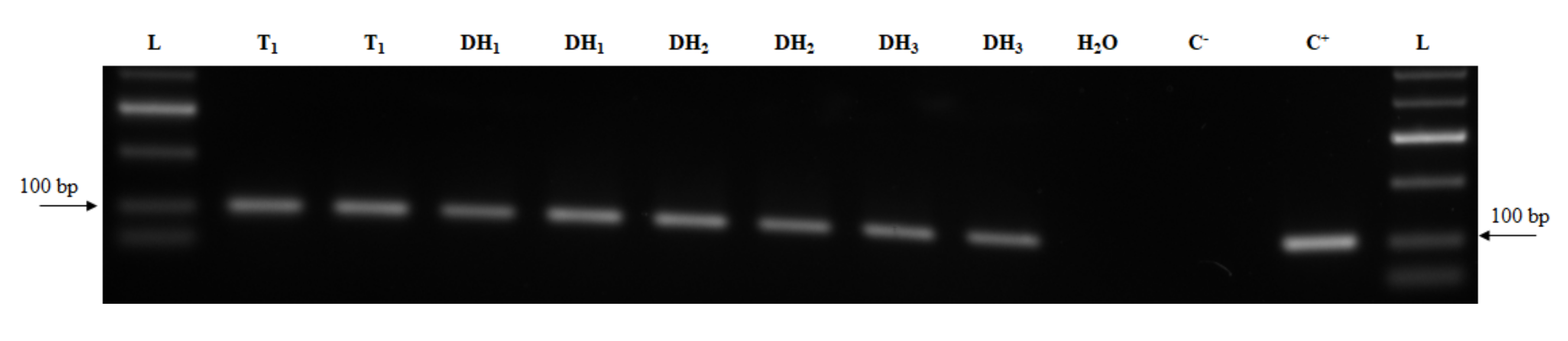 Plants 09 00918 g005