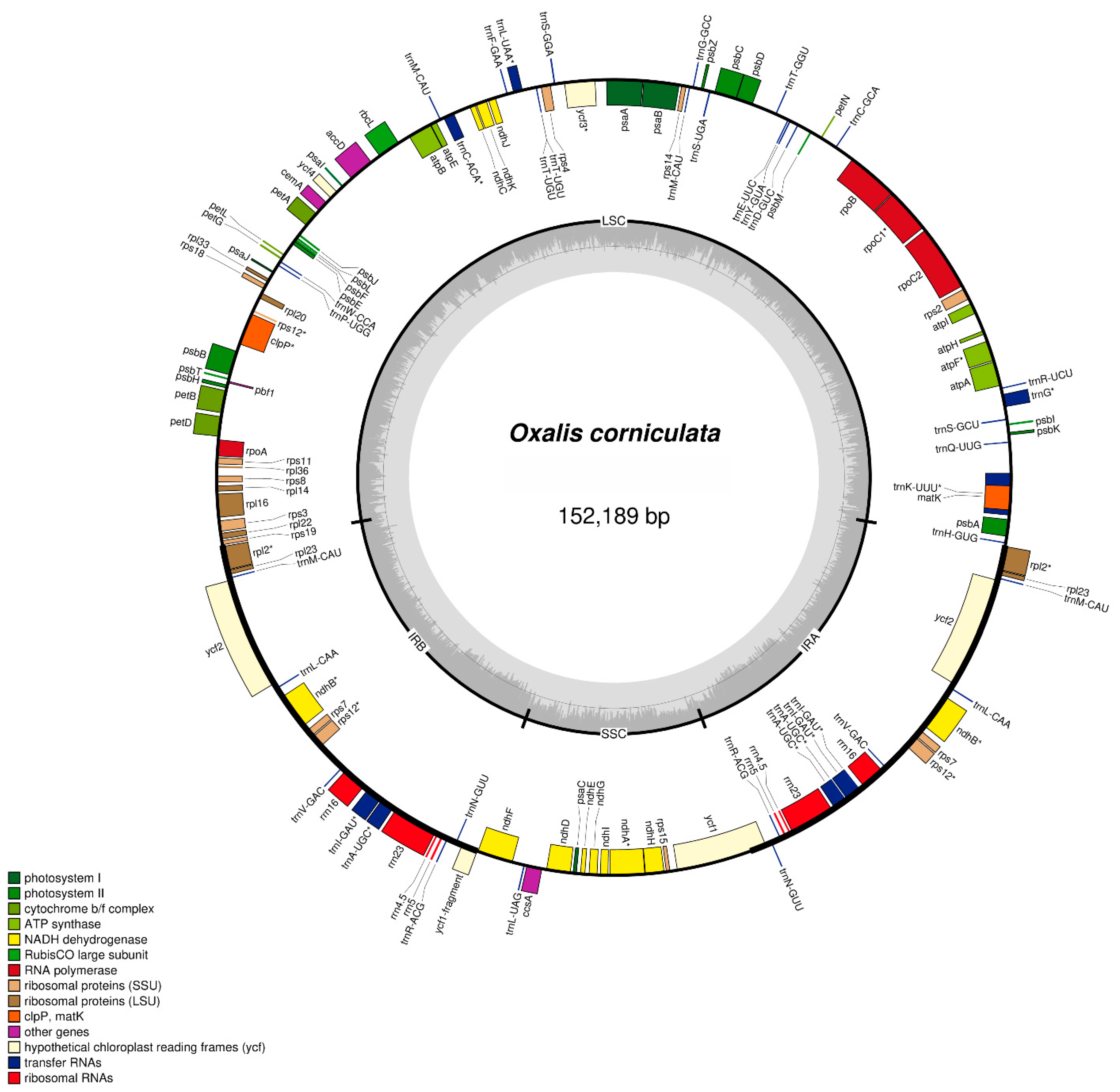 Plants 09 00928 g001