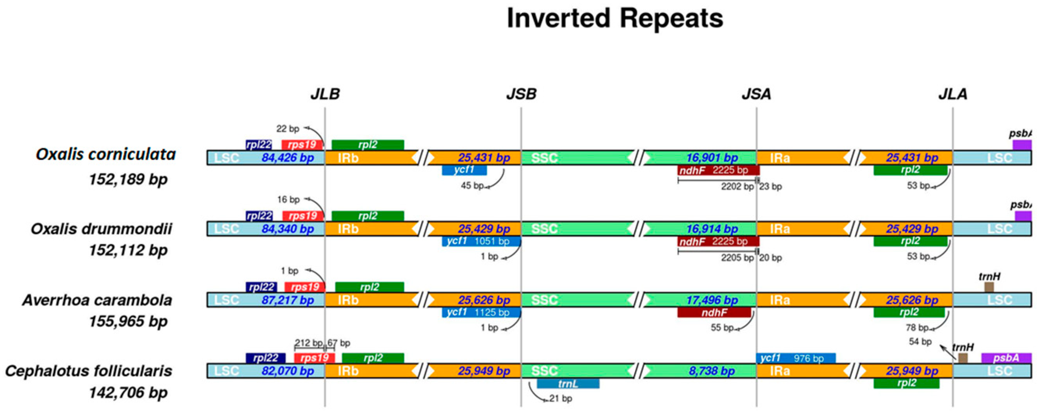 Plants 09 00928 g004